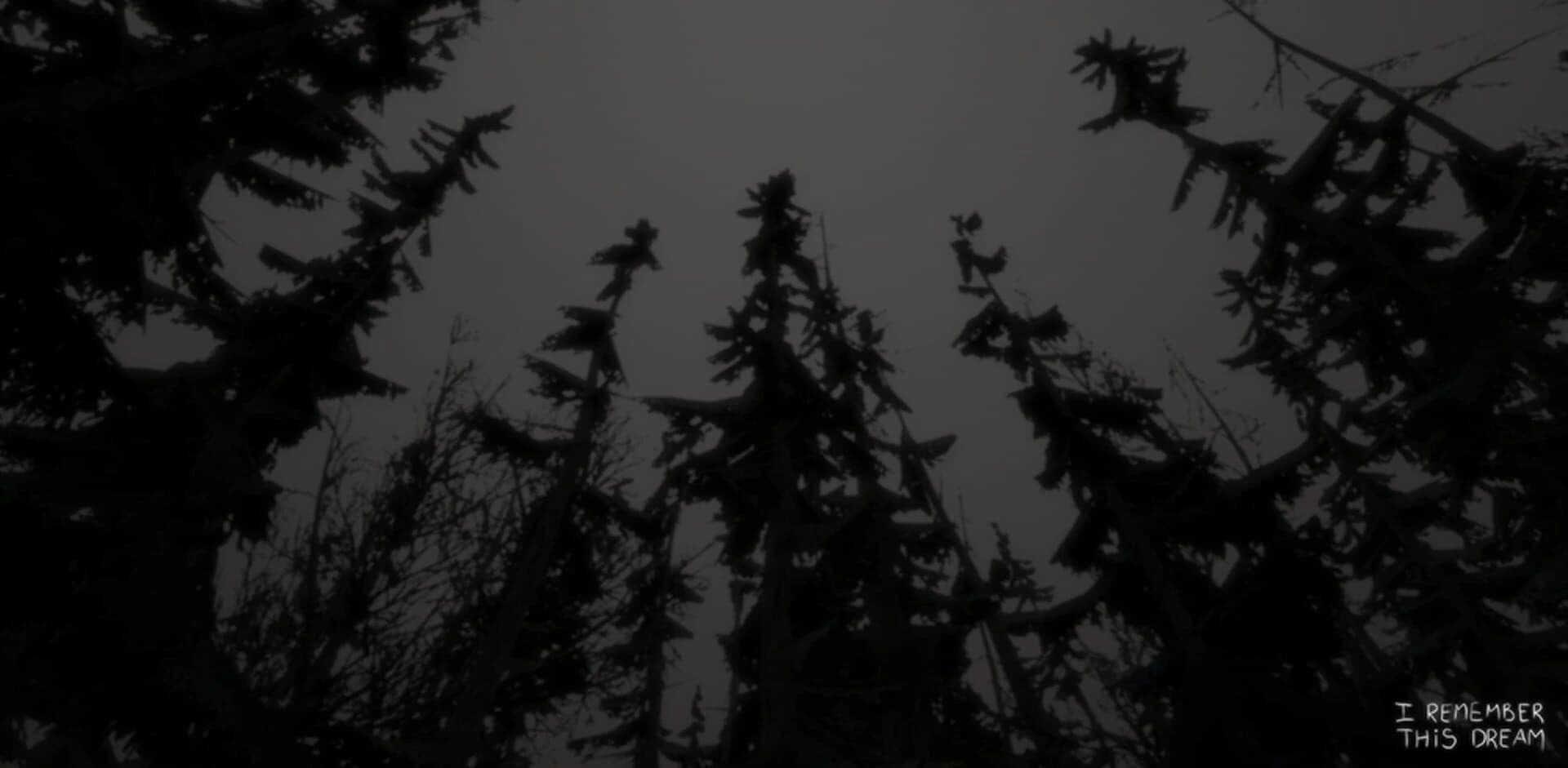 I Remember This Dream screenshot 5
