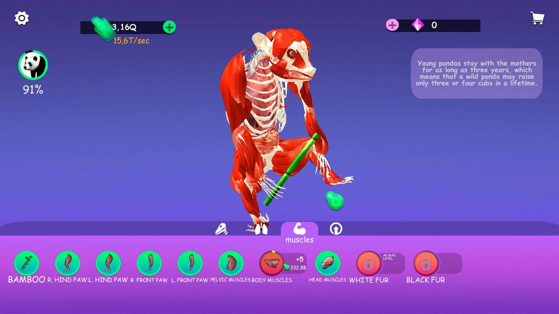 Idle Animal Anatomy screenshot 1