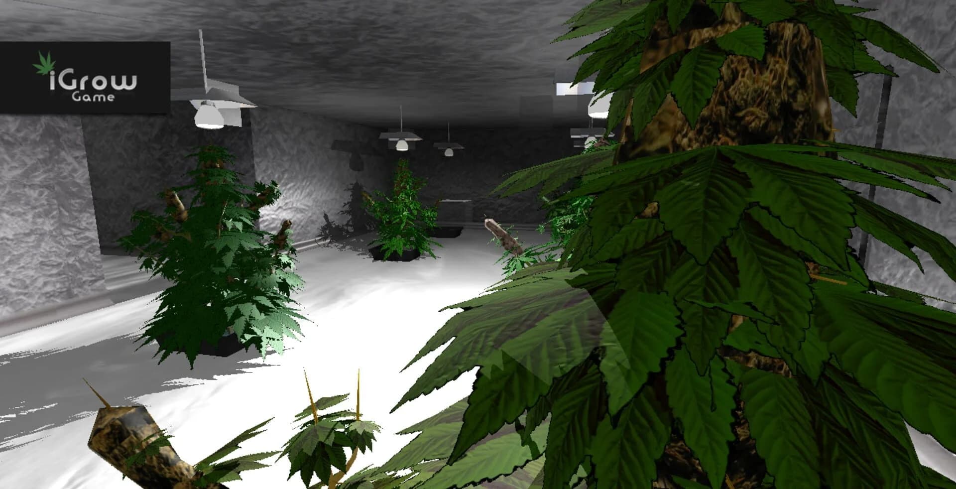 iGrow Game screenshot 2