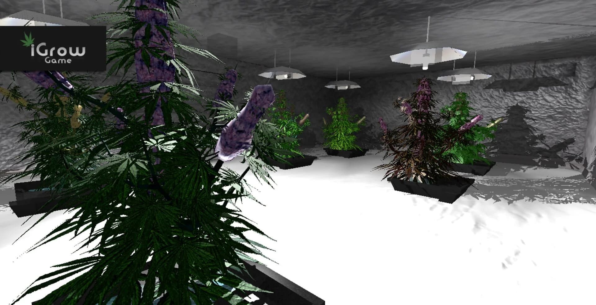 iGrow Game screenshot 1