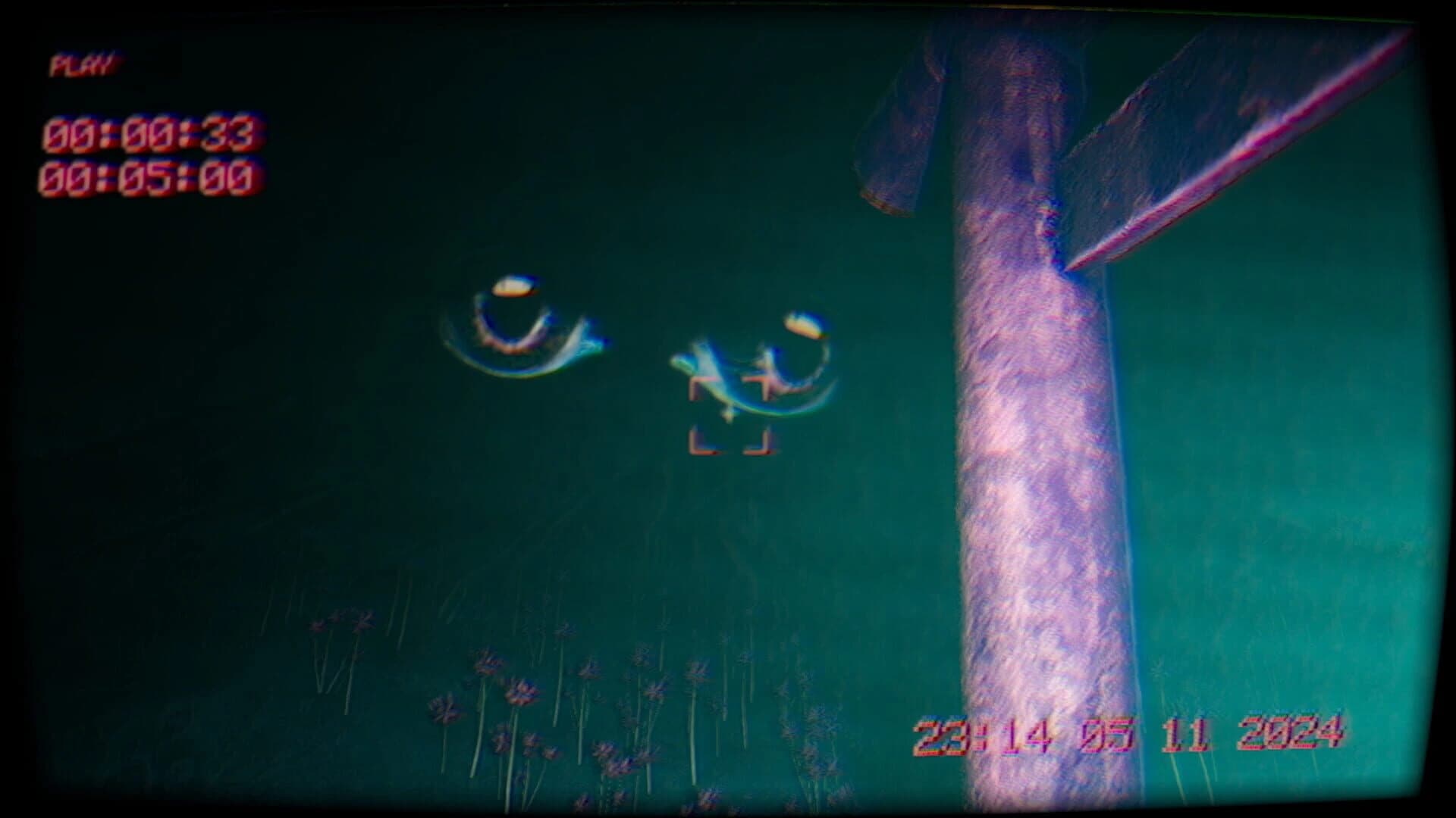 In the footage screenshot 1