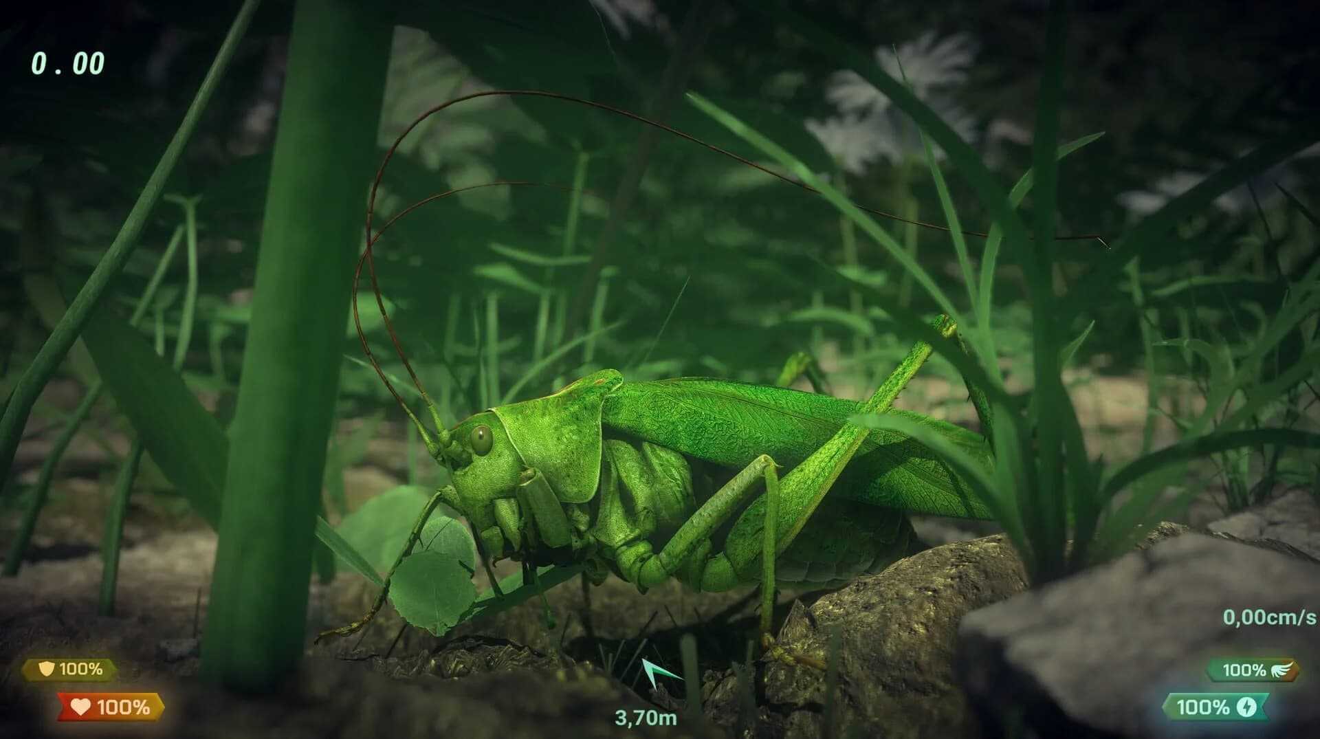 Insect Worlds screenshot 4