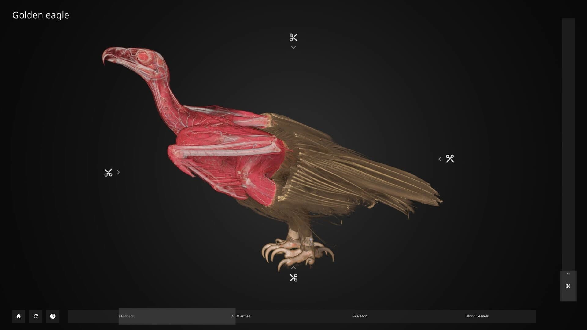 Inside Explorer screenshot 4