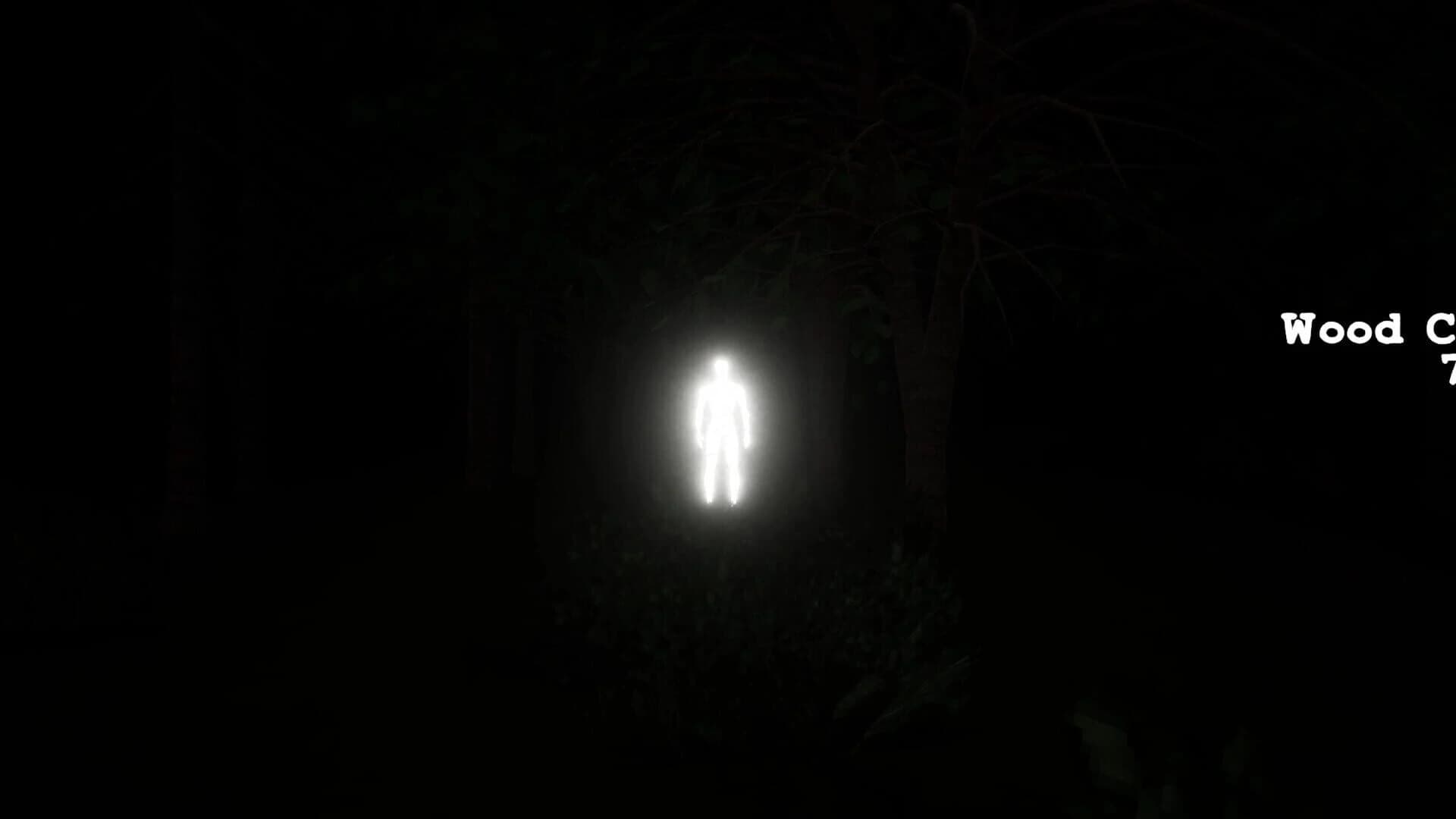 Inside the Forest screenshot 5