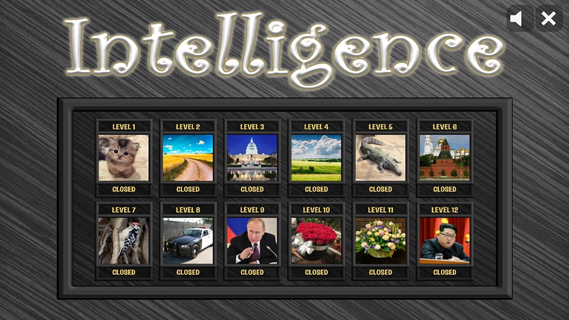 Intelligence screenshot 3