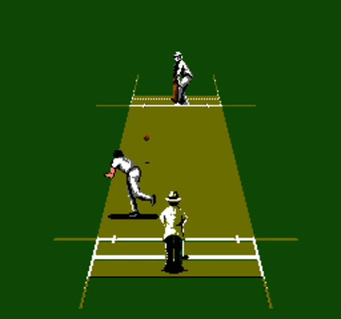 International Cricket screenshot 1