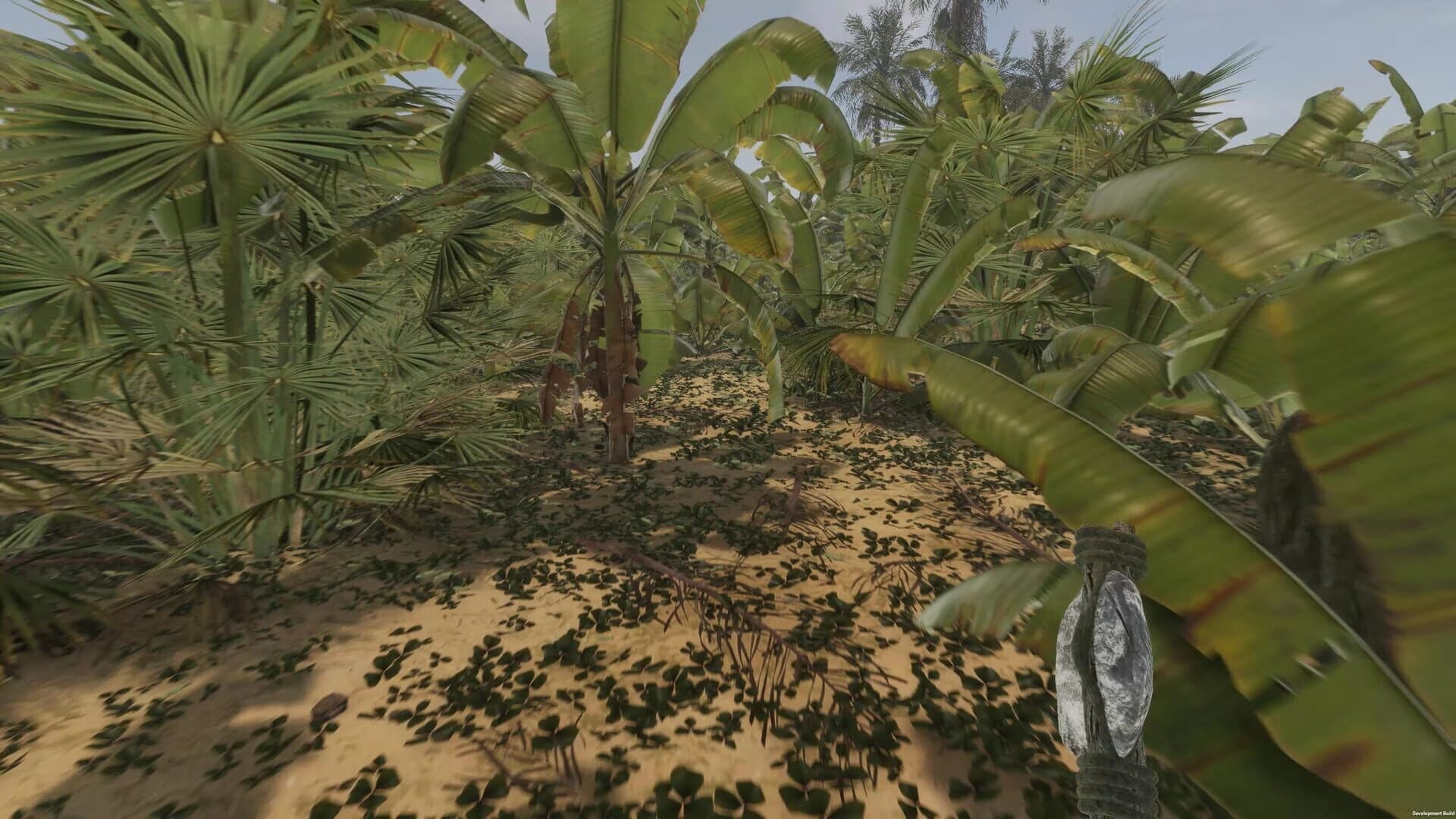 Island Notes screenshot 5