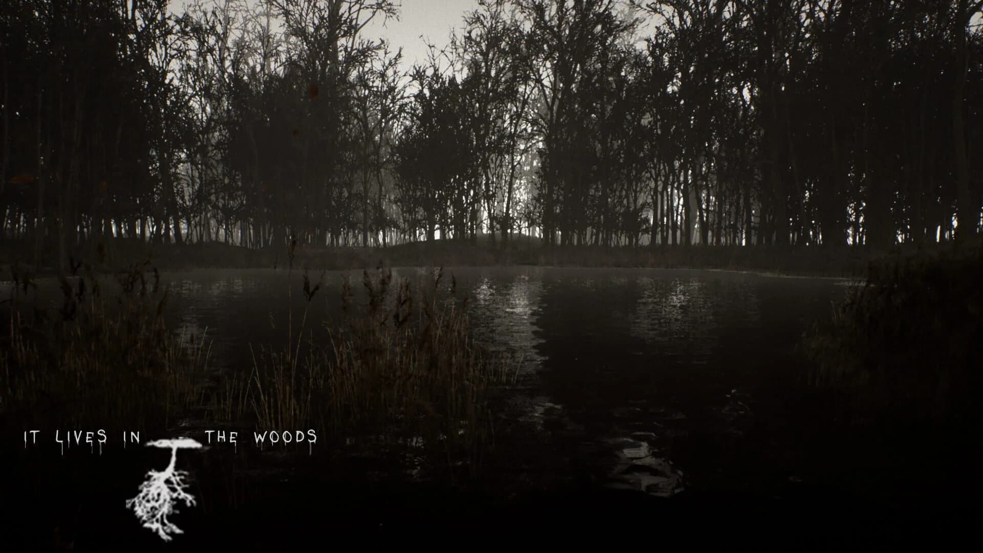 It Lives in the Woods screenshot 2