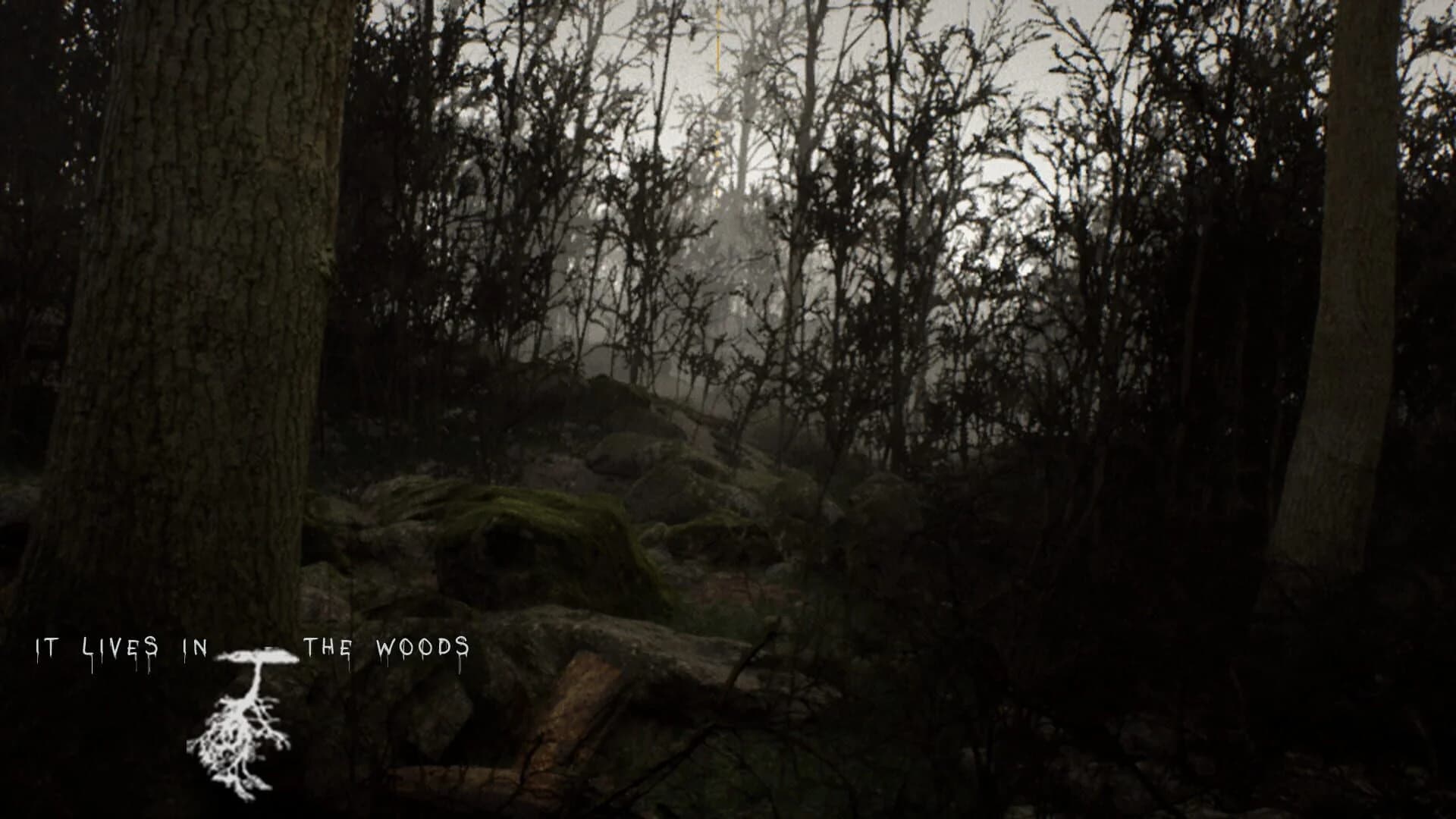 It Lives in the Woods screenshot 3