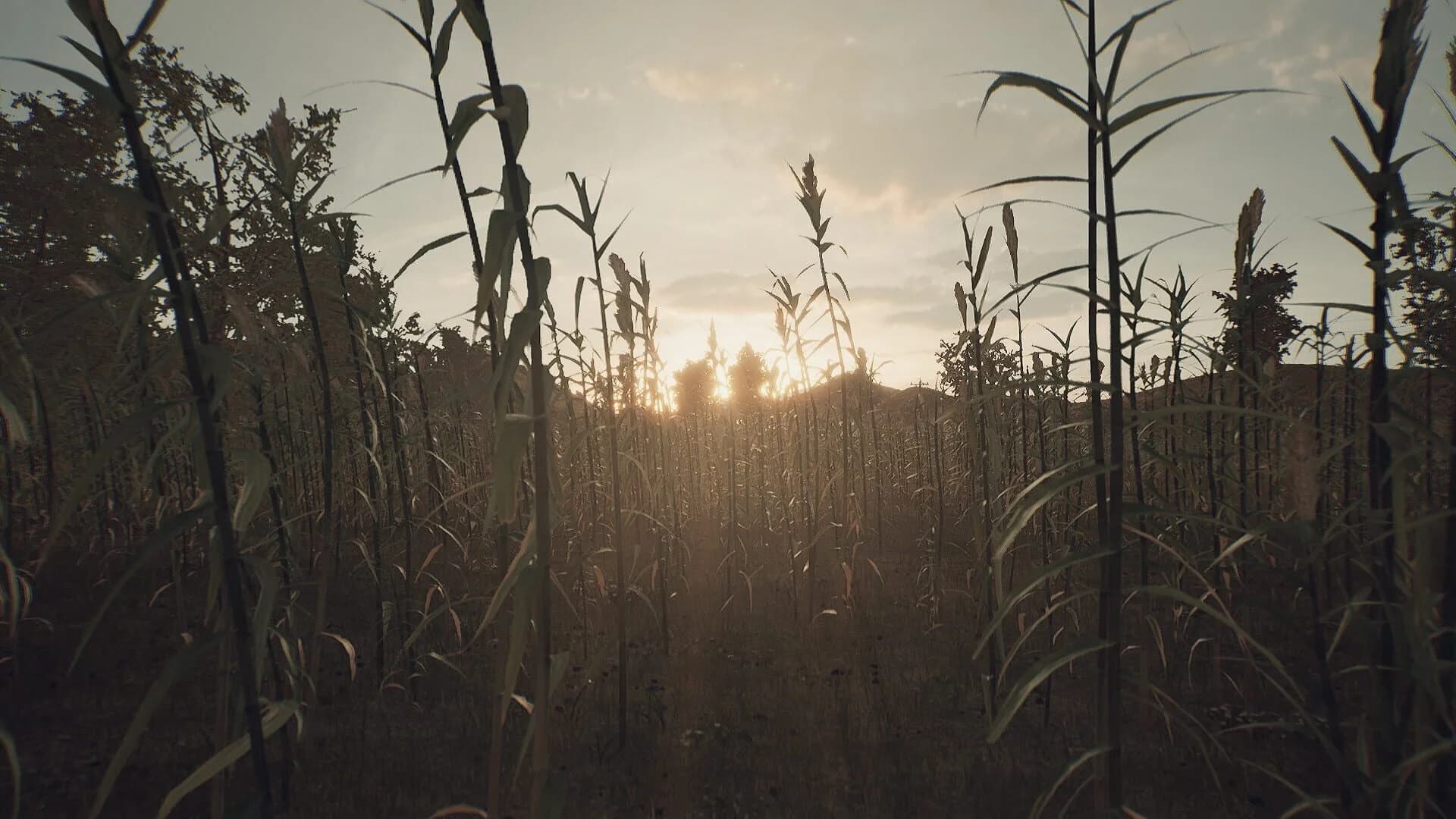 It's Not About the End screenshot 2
