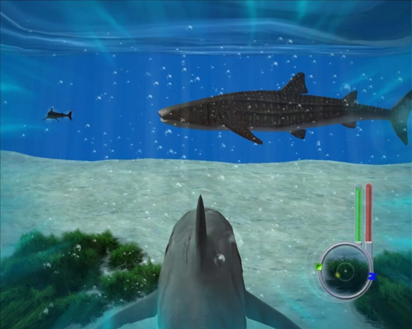 Jaws Unleashed screenshot 5