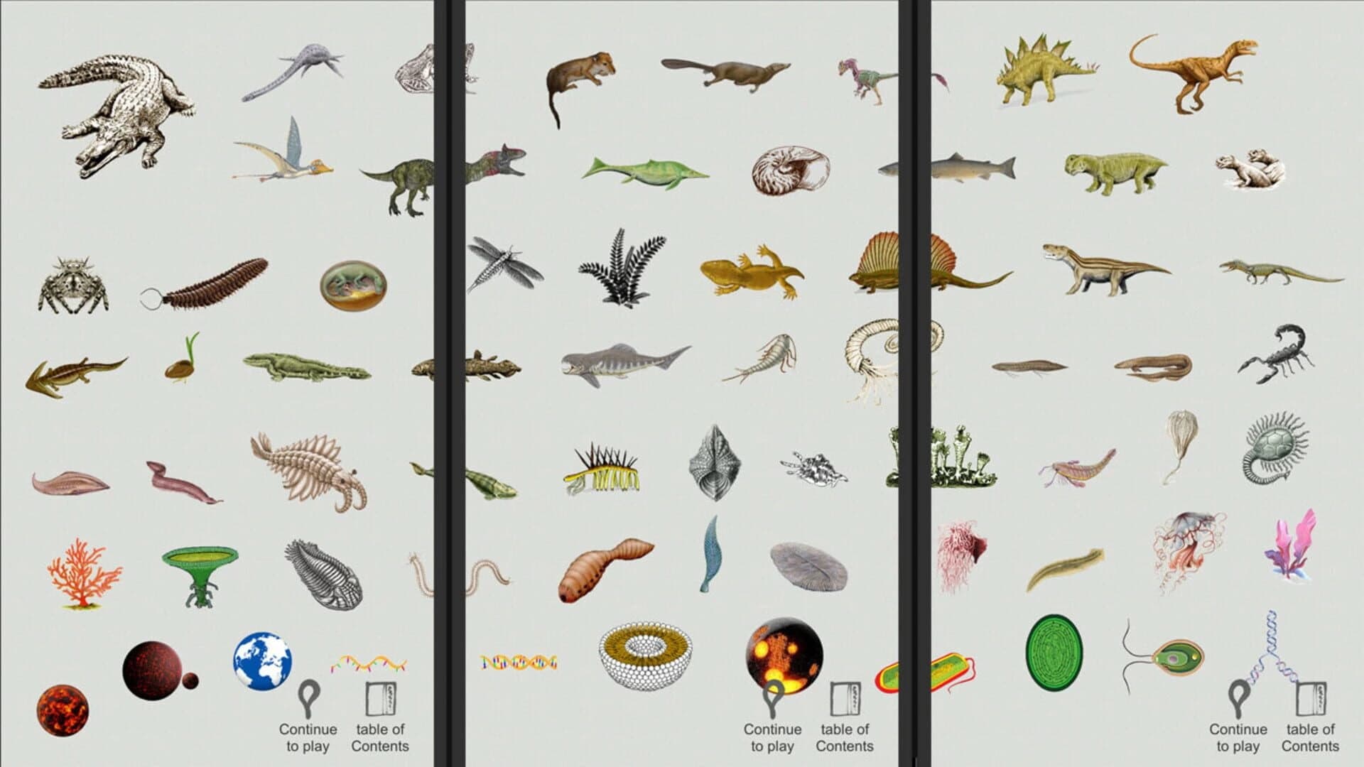 Jigsaw puzzle: Evolution screenshot 1