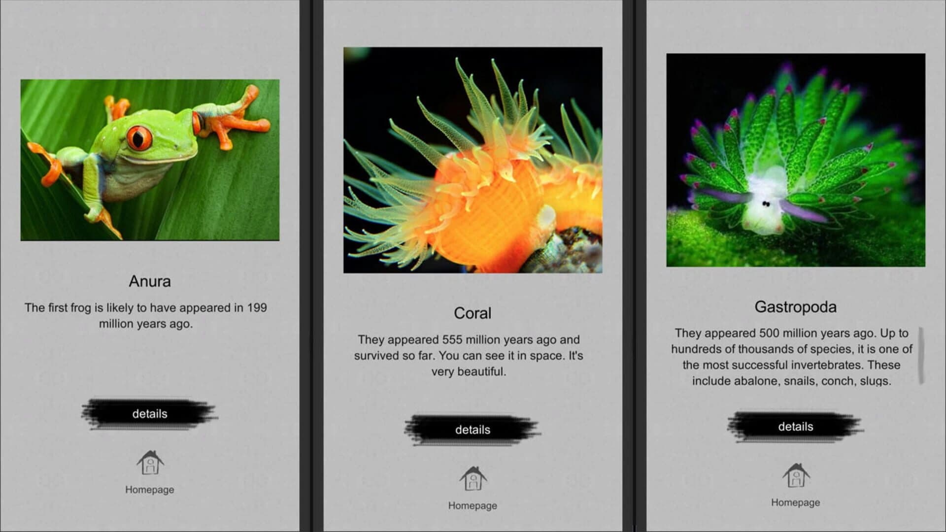 Jigsaw puzzle: Evolution screenshot 3