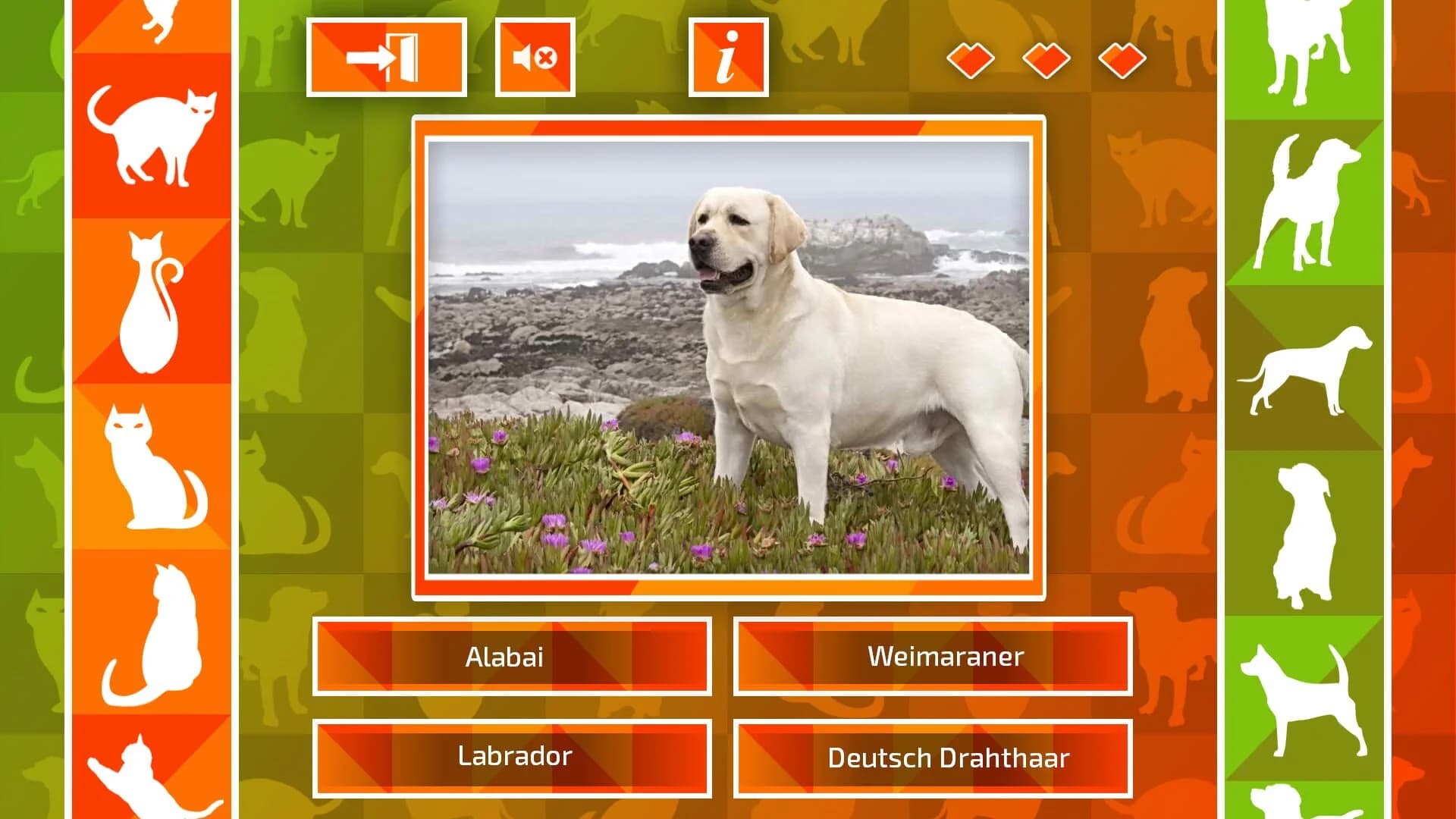 JQ: dogs & cats screenshot 4