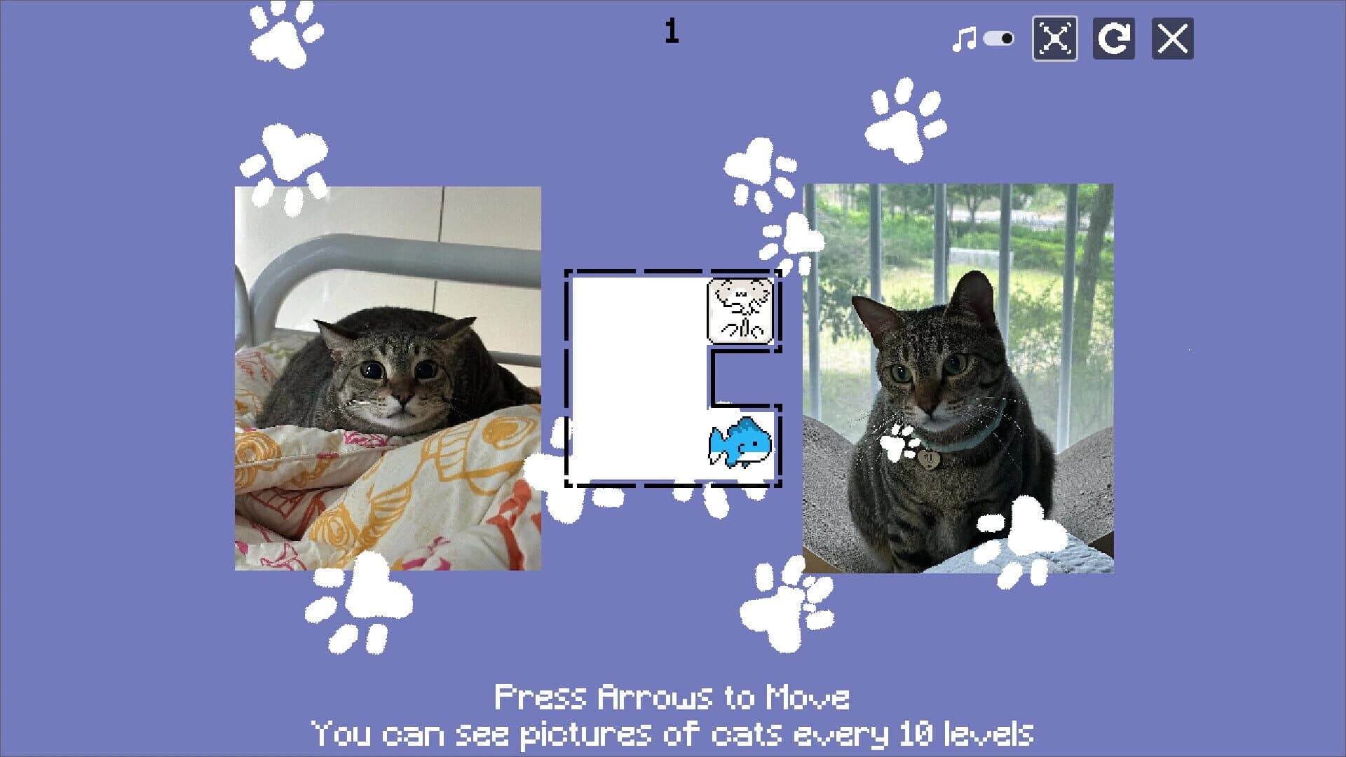 JustWatchMyCat screenshot 1