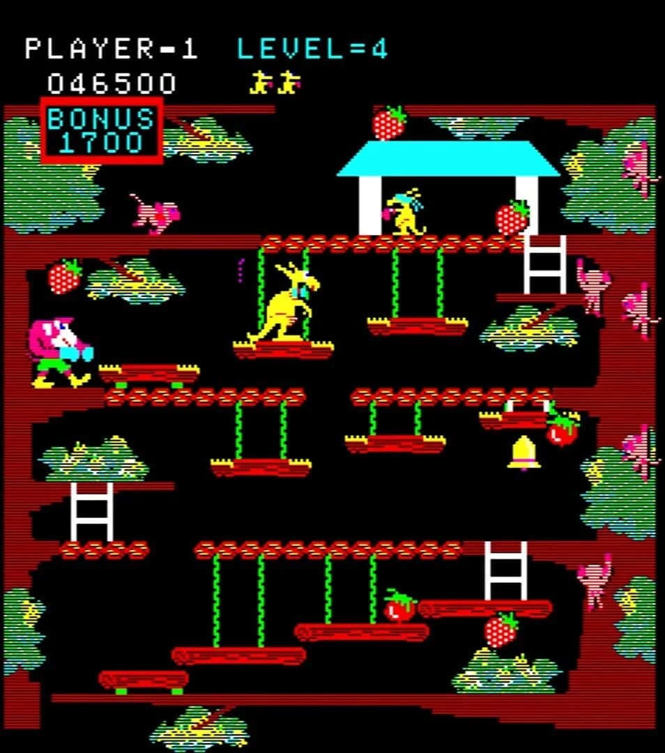 Kangaroo screenshot 4