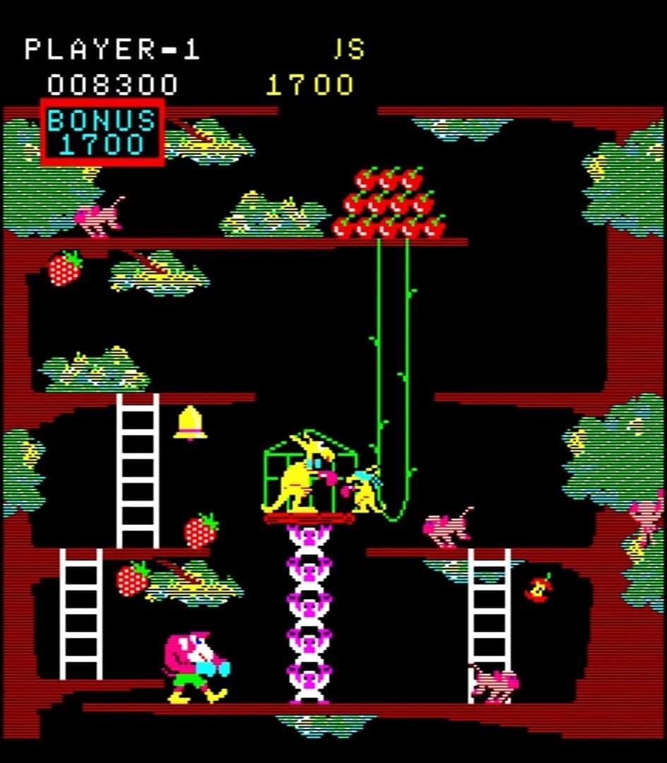 Kangaroo screenshot 3