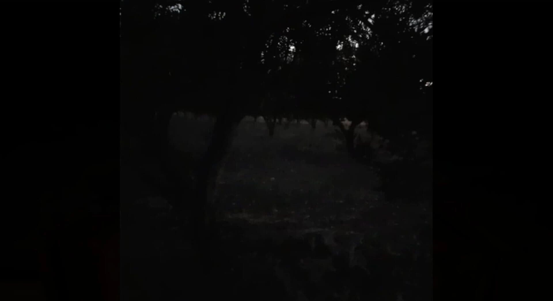 KaraDedeler 1989 screenshot 1