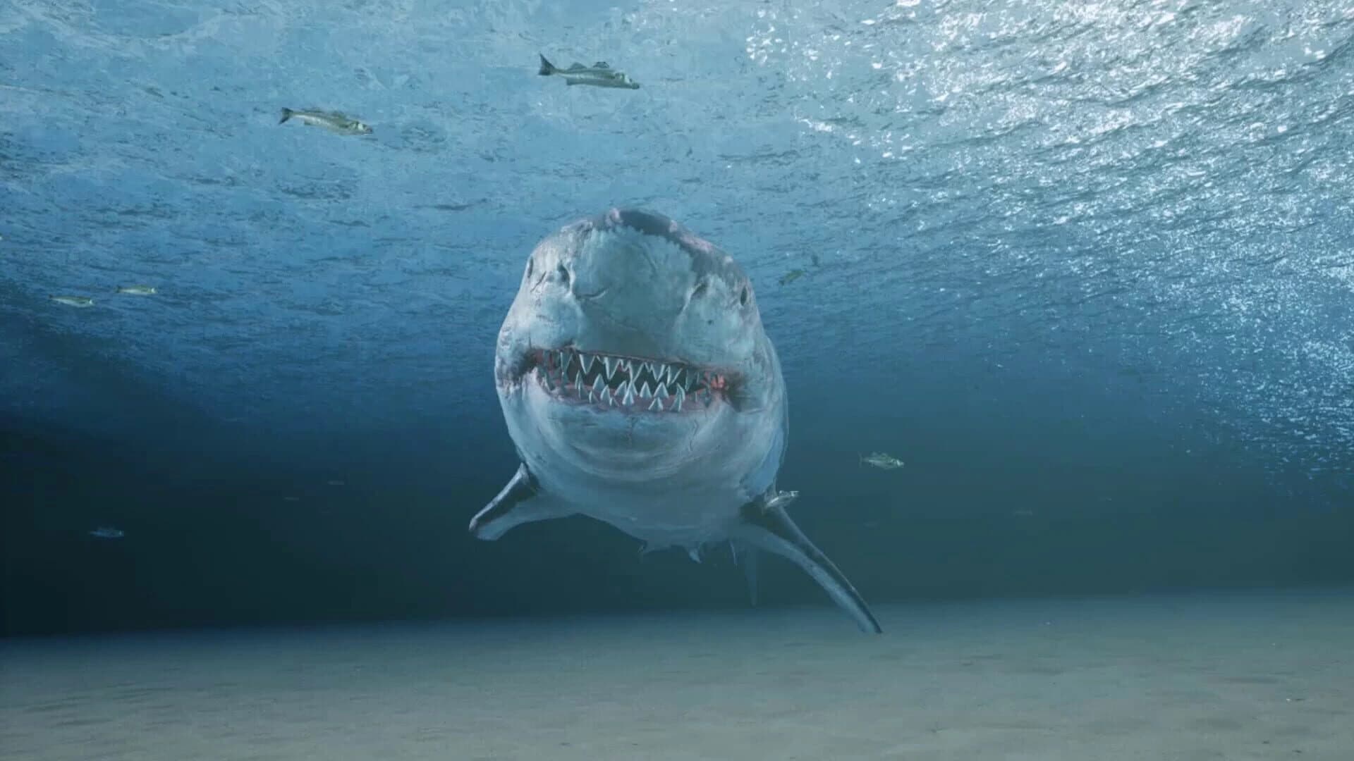 King Crab screenshot 3