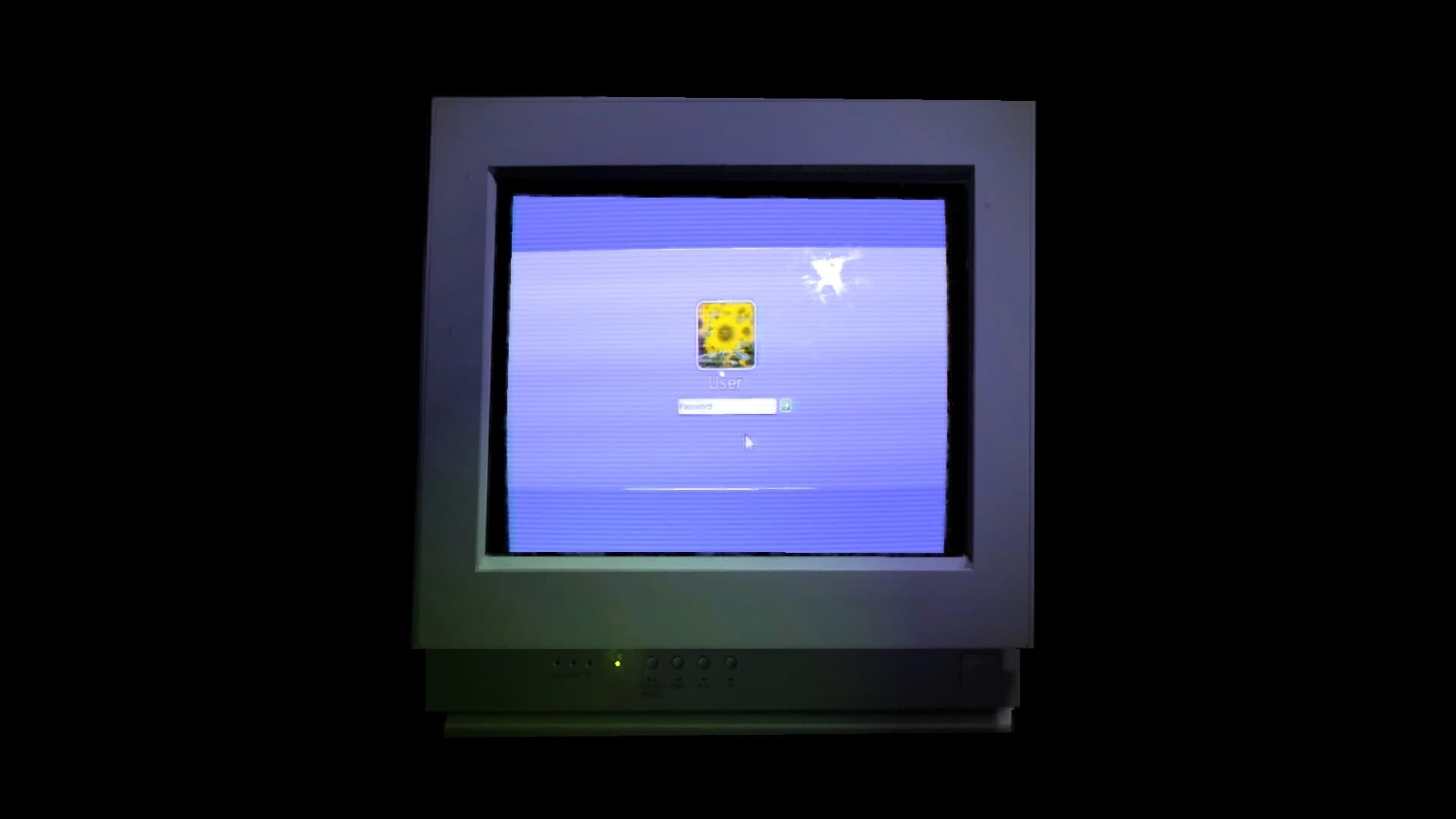 KinitoPet screenshot 4
