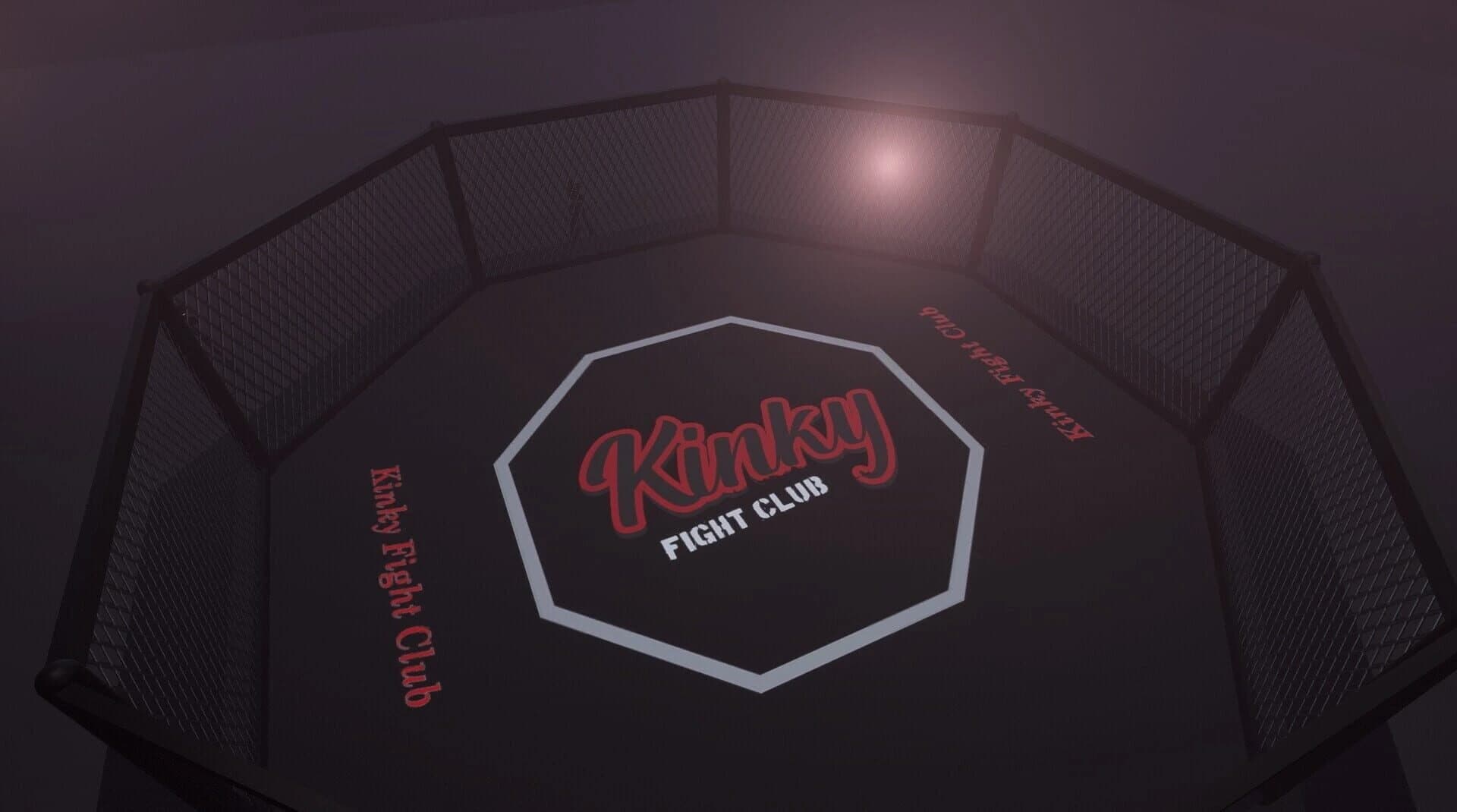 Kinky Fight Club 2 screenshot 1