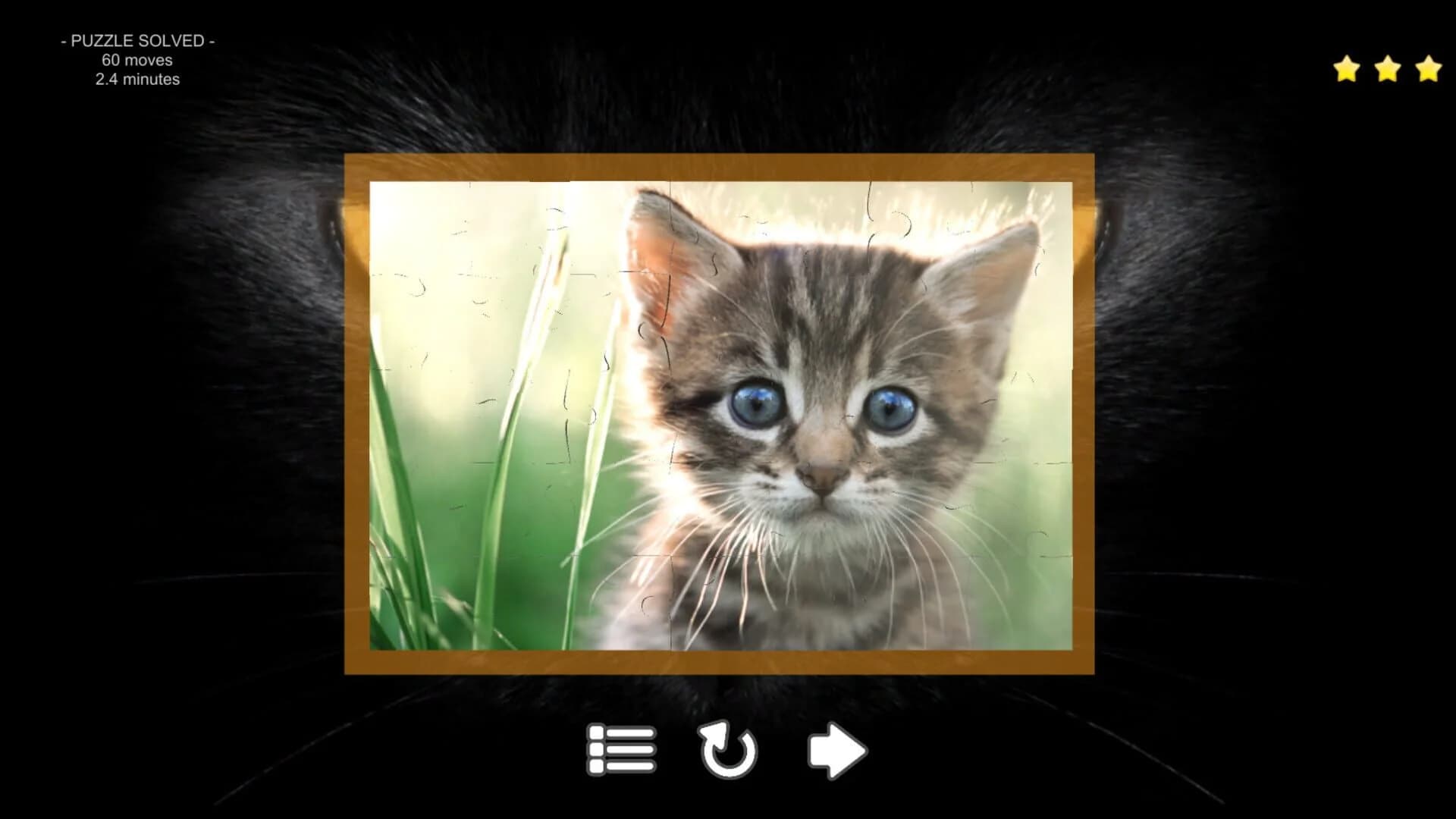 Kitty Cat: Jigsaw Puzzles screenshot 3