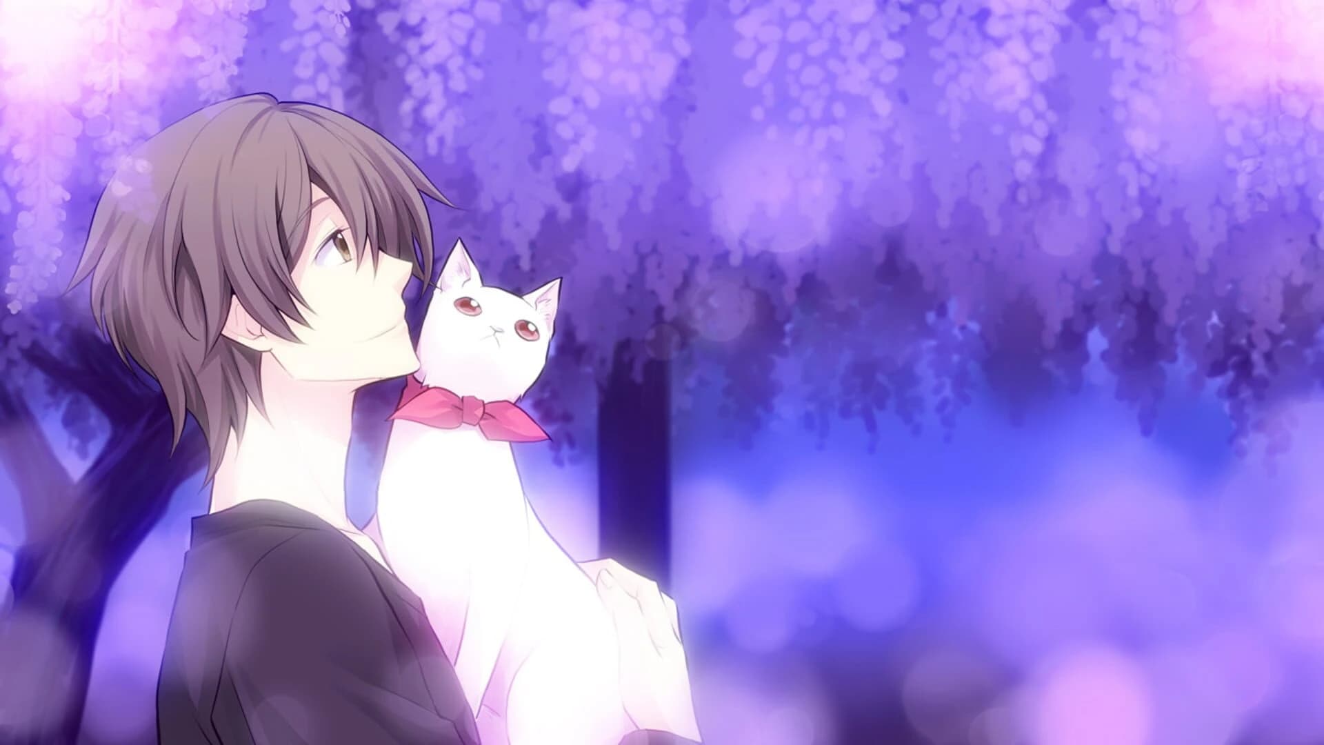 Kitty Love -Way to look for love- screenshot 2