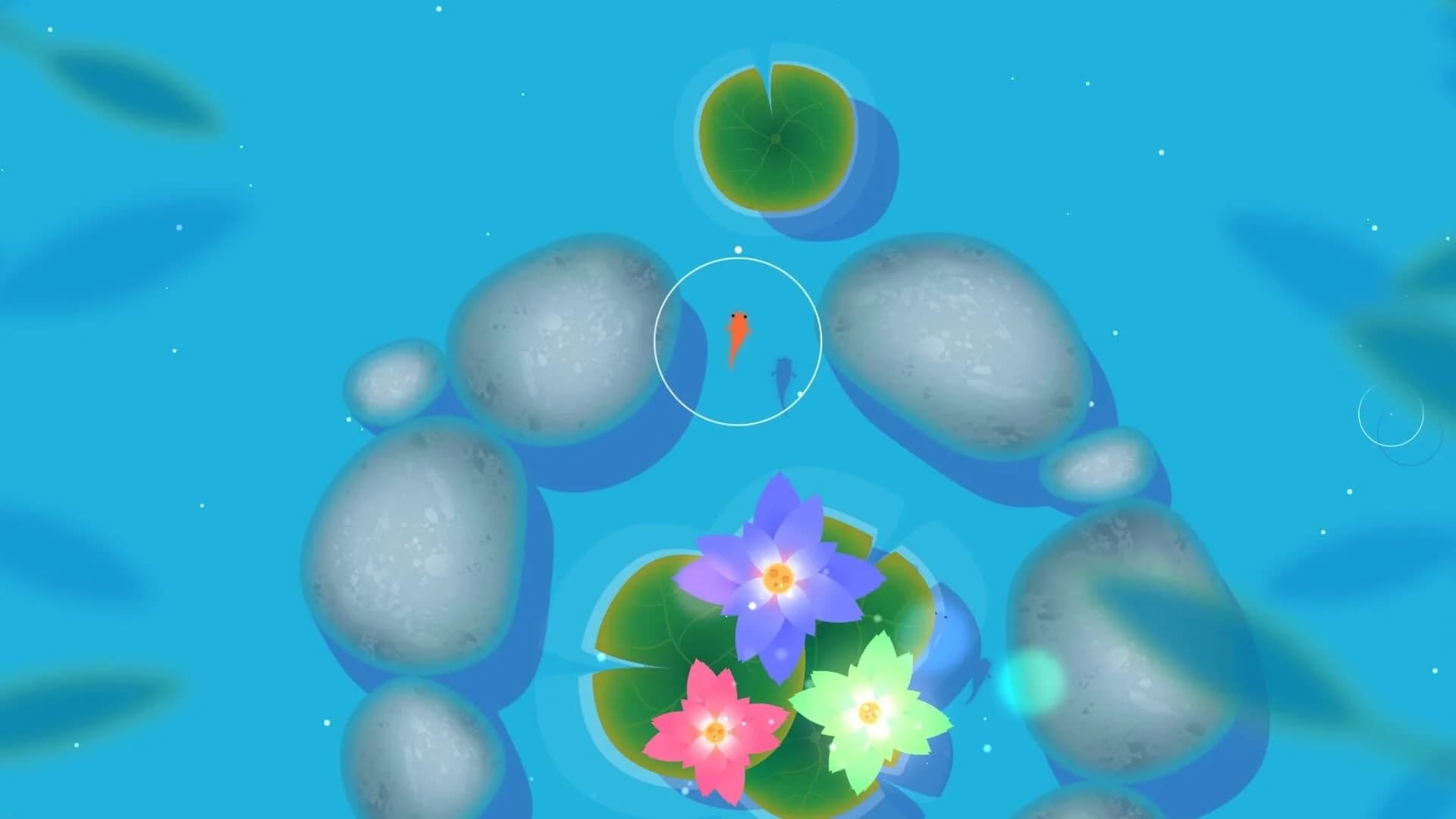 Koi screenshot 4