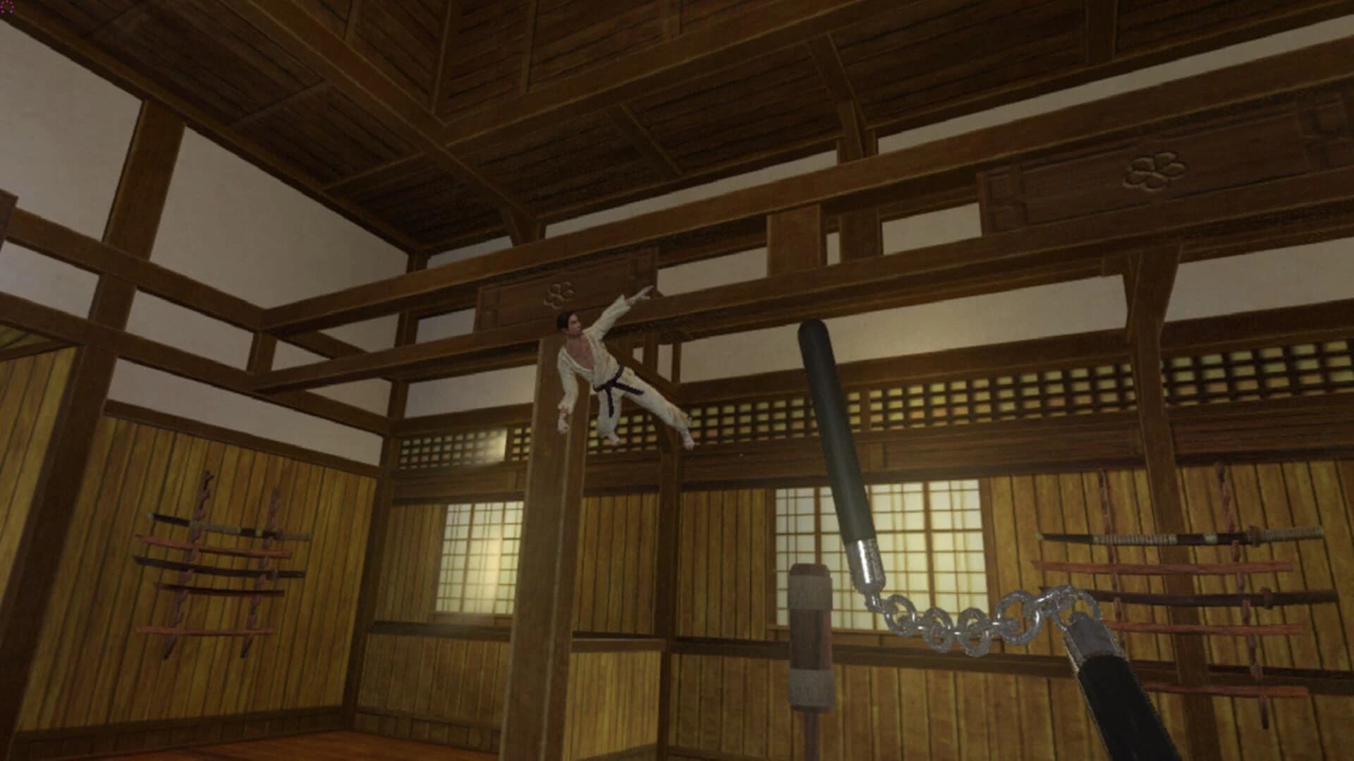 Kung Fu All-Star VR screenshot 2