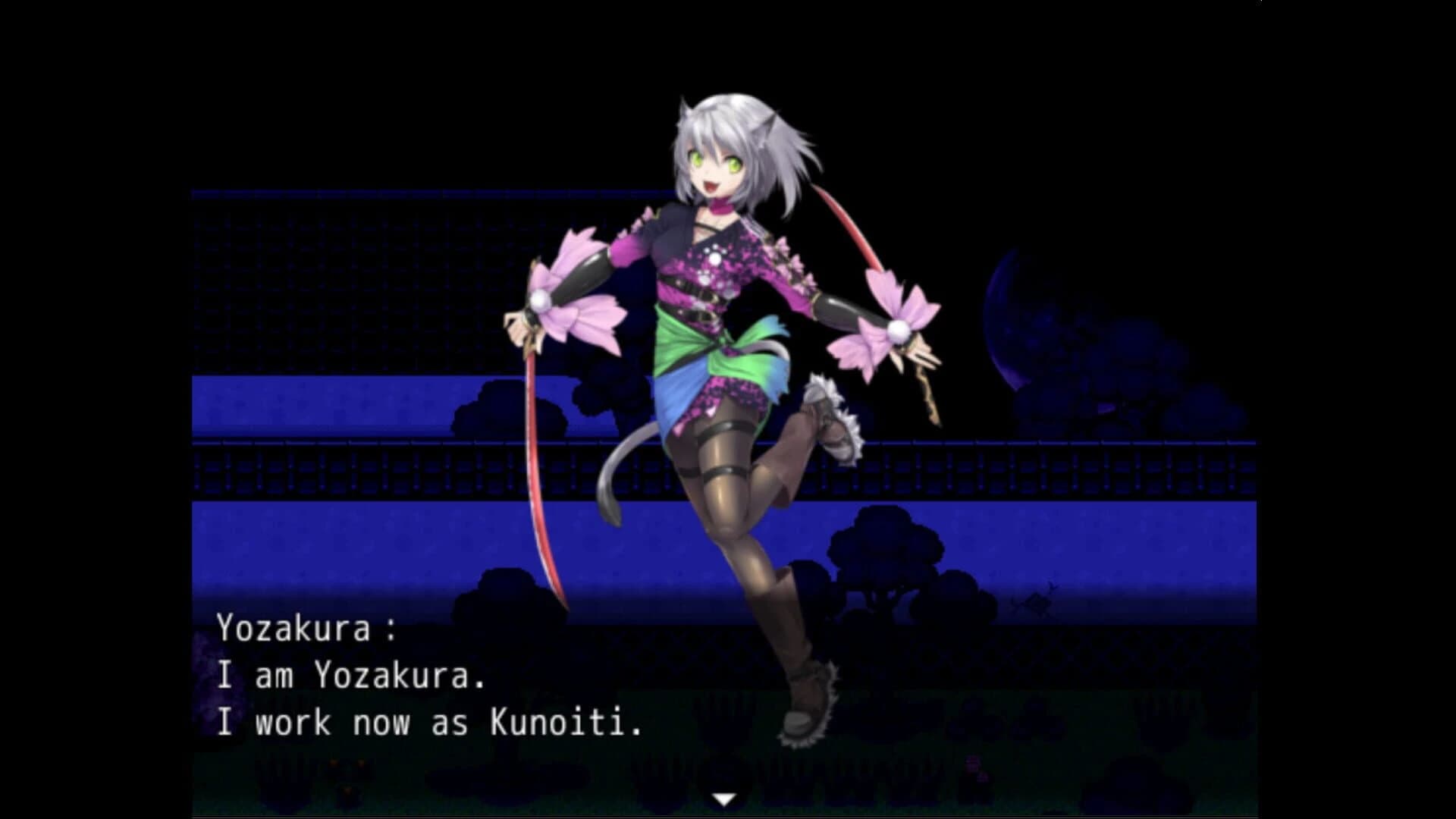 Kunoichi Ninja screenshot 5