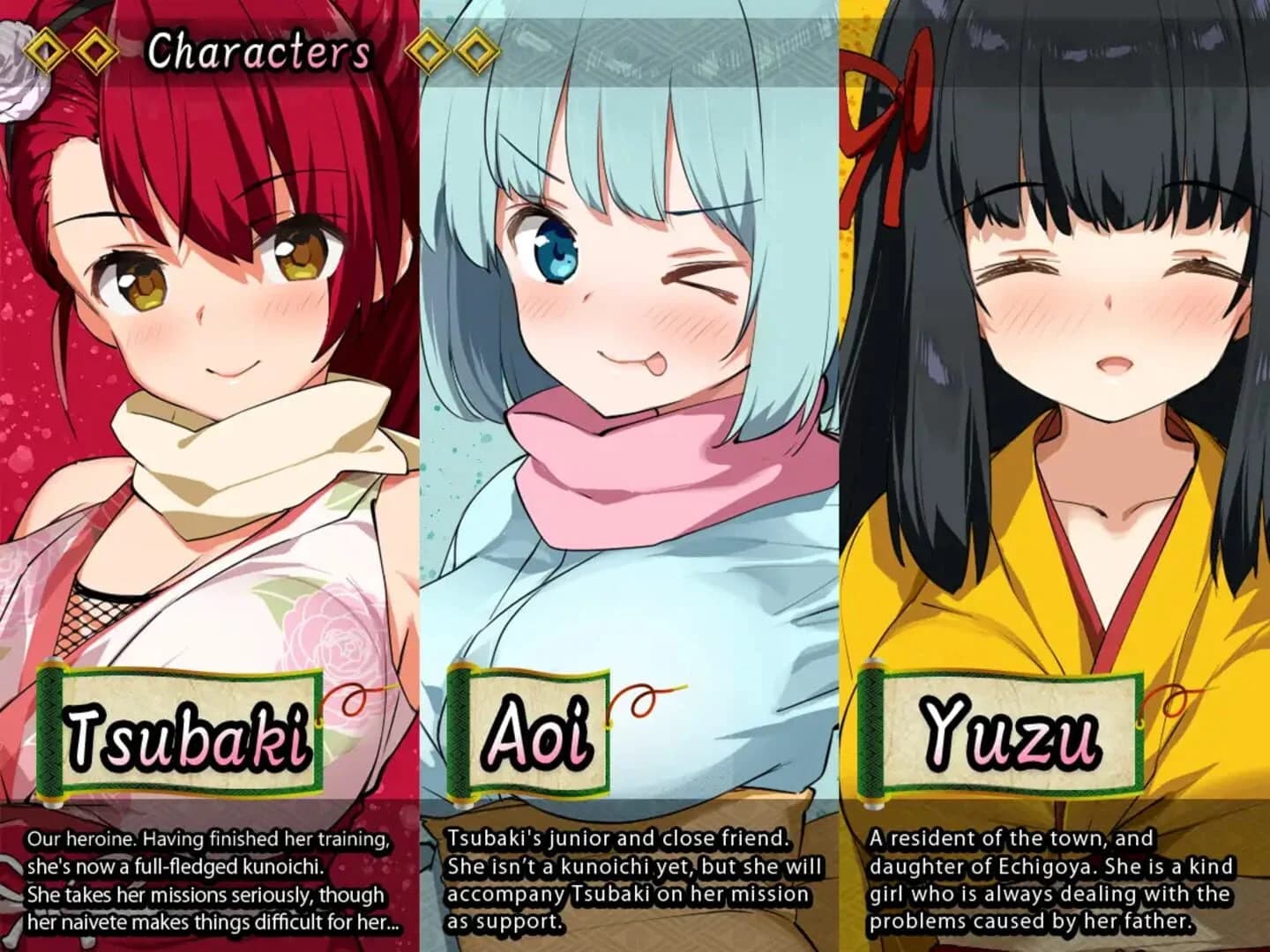 Kunoichi Tsubaki screenshot 1