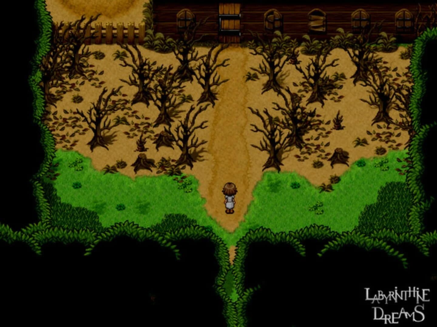 Labyrinthine Dreams screenshot 1