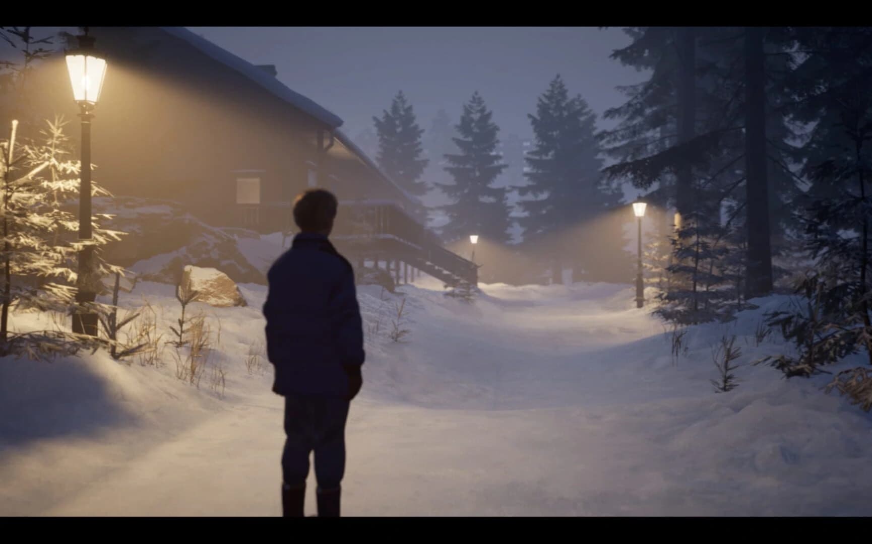 Last Days of Snow screenshot 5
