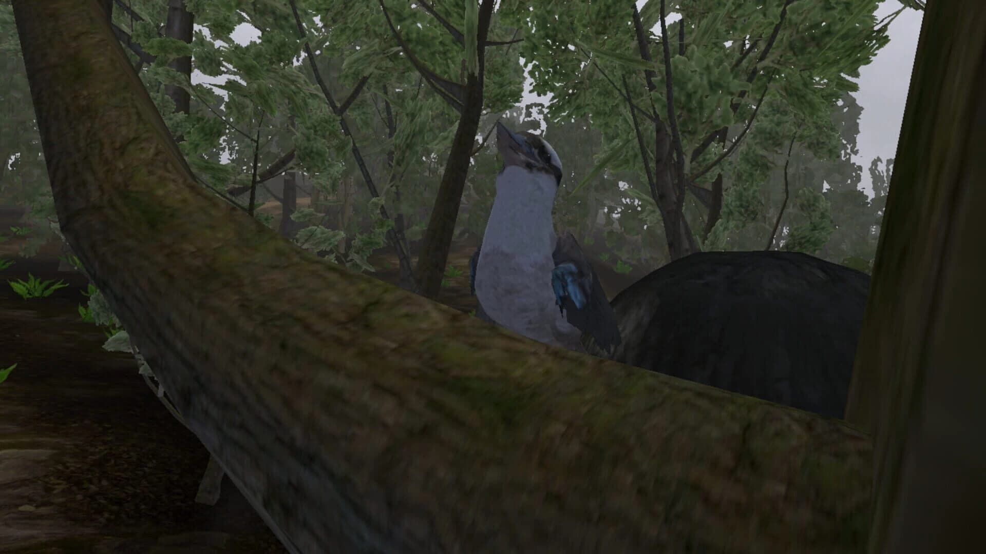 Lepidoptera screenshot 5