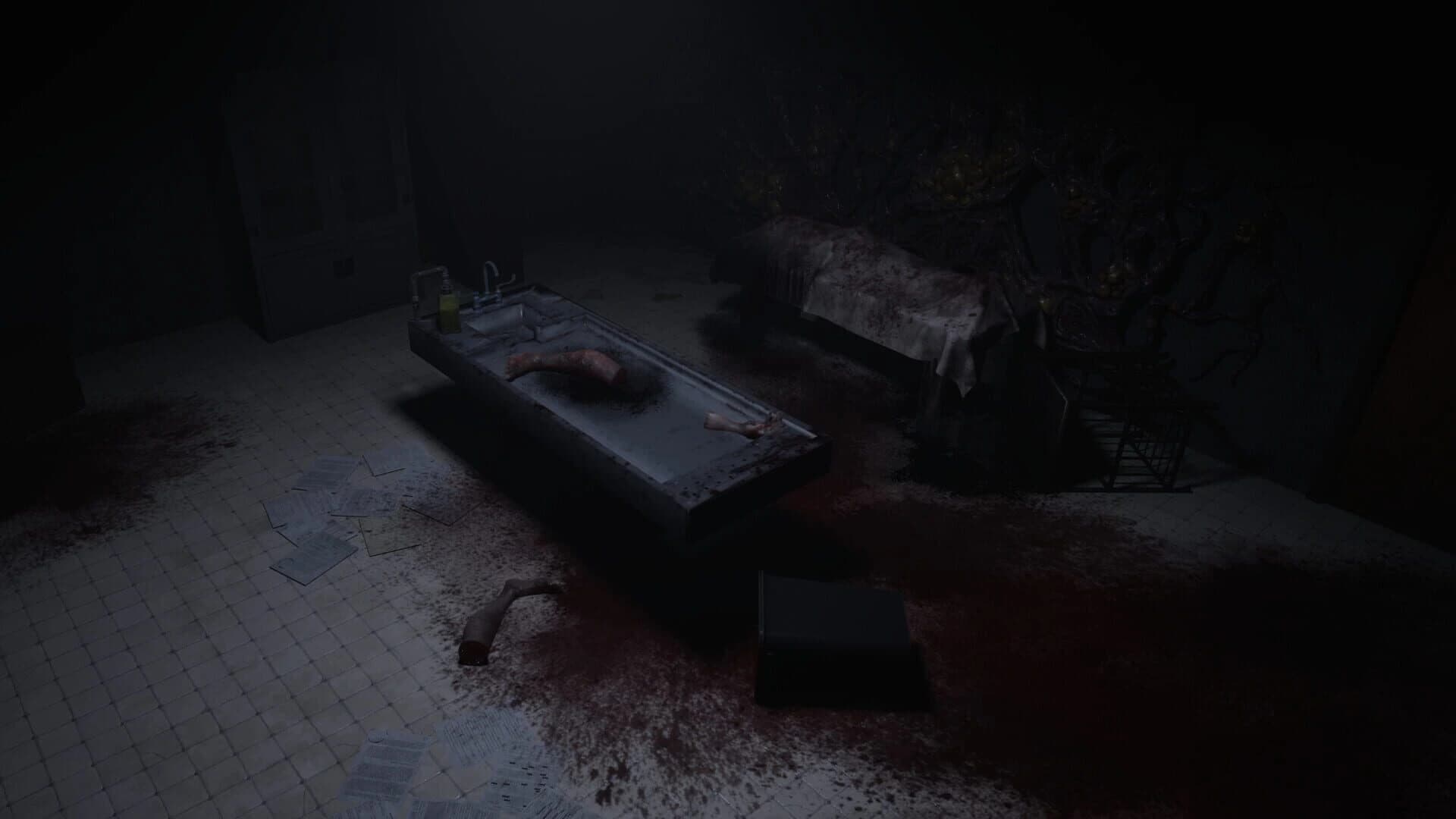 Letherfall screenshot 4