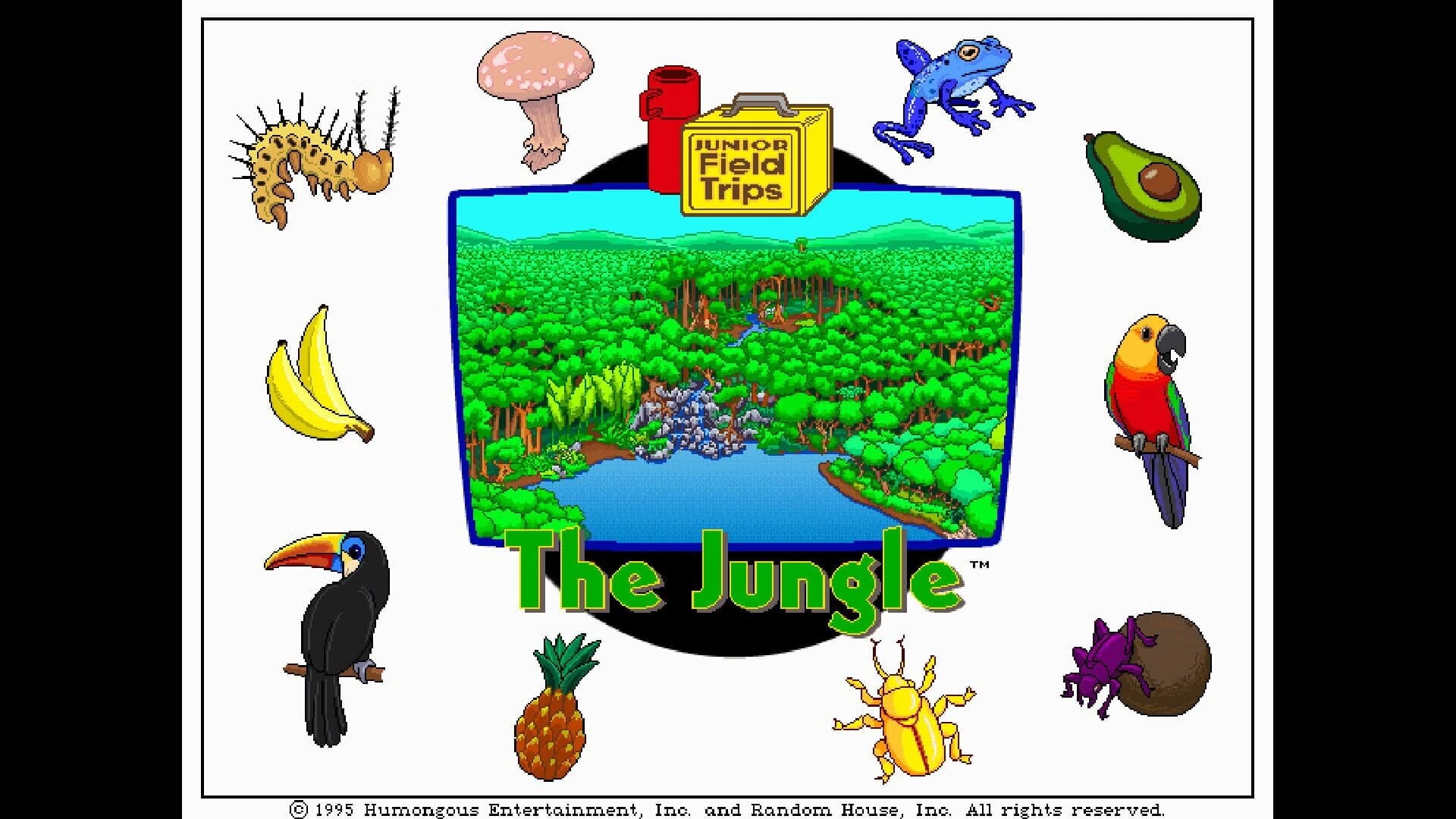 Let's Explore the Jungle screenshot 5