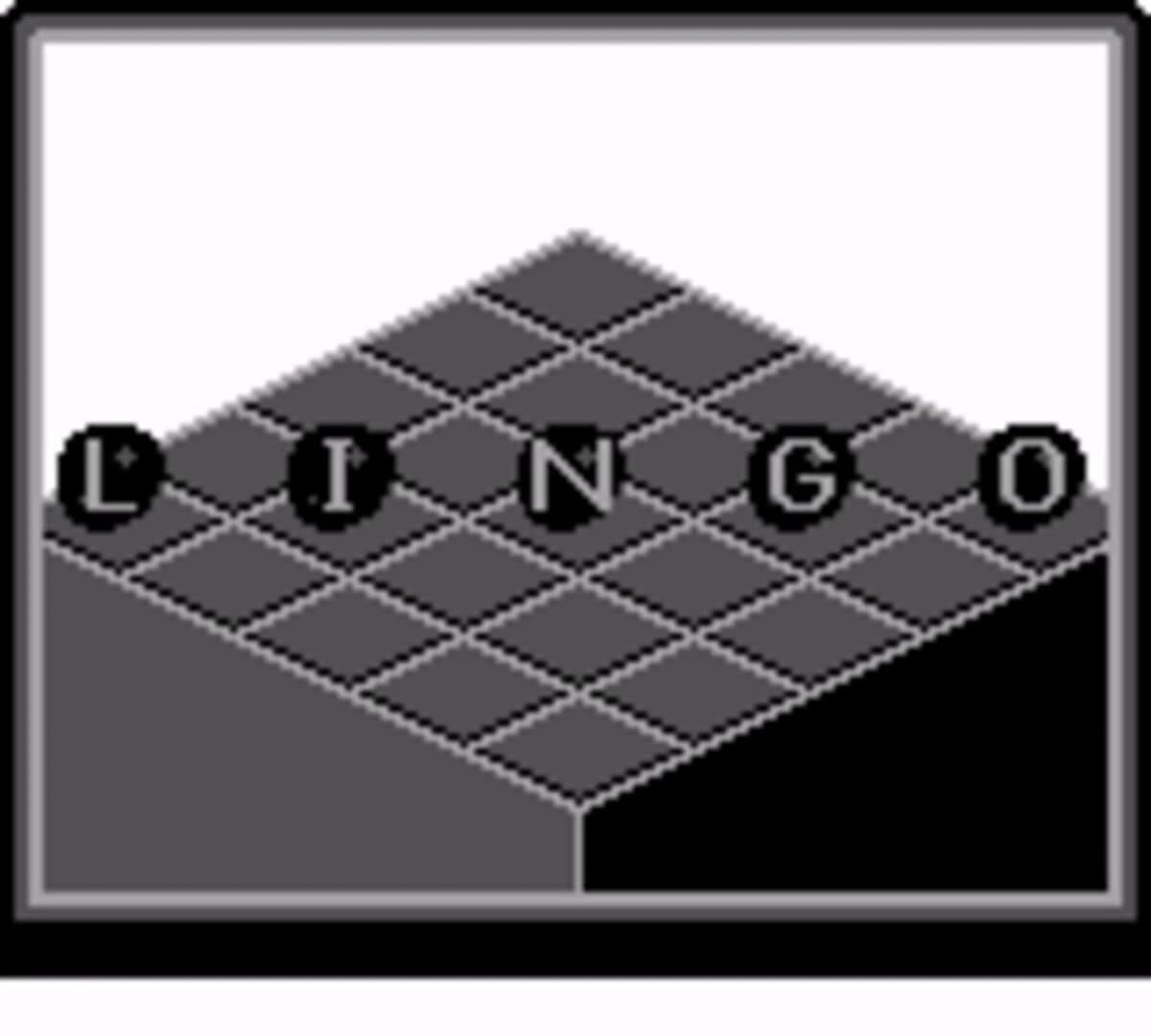 Lingo screenshot 6