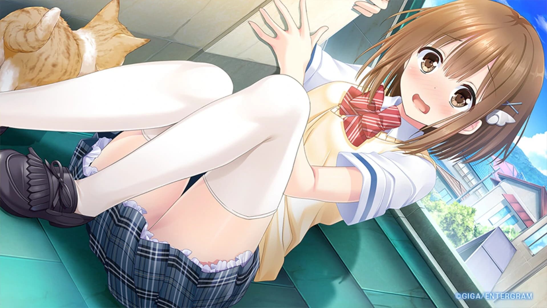 Love Clear screenshot 4