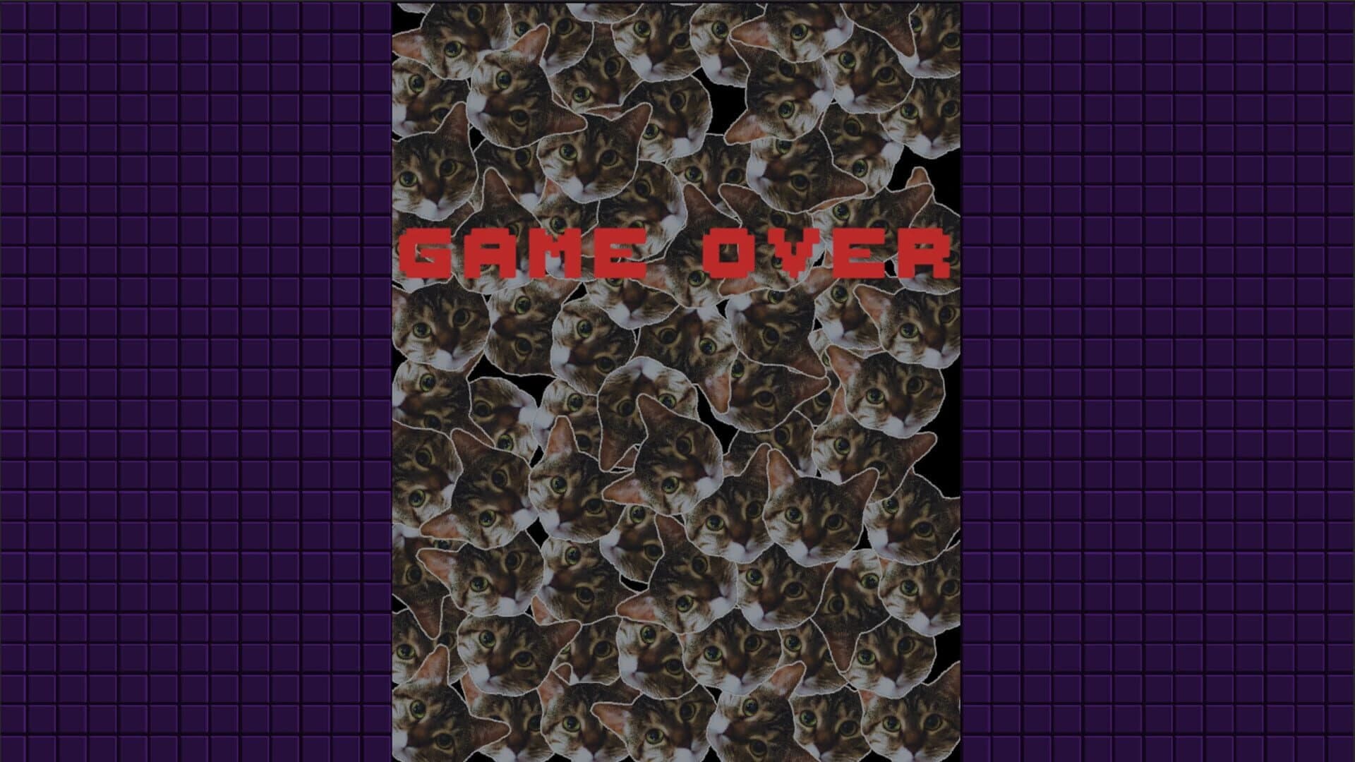 Lunyatic Invaders screenshot 5
