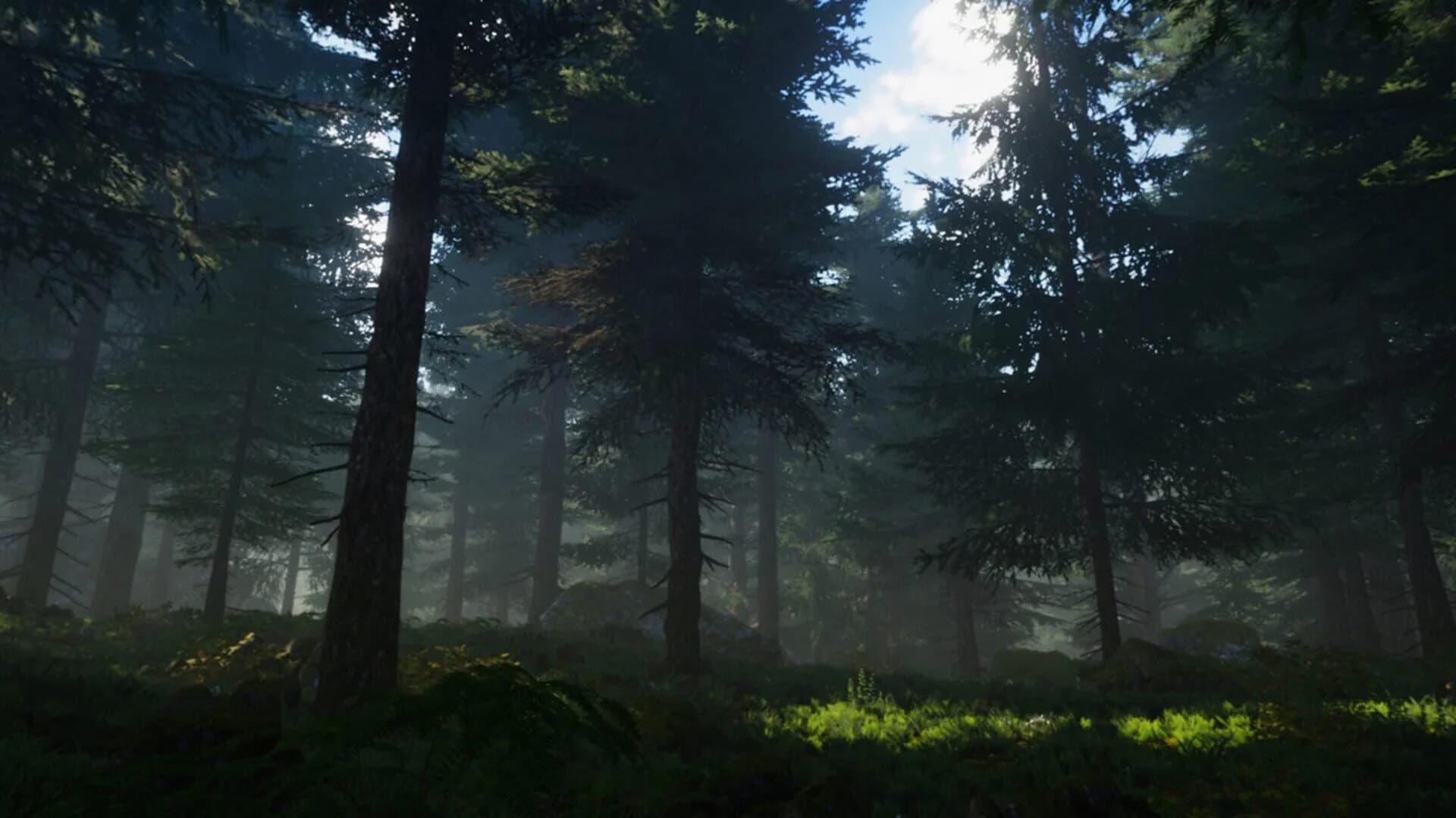 Lure screenshot 4