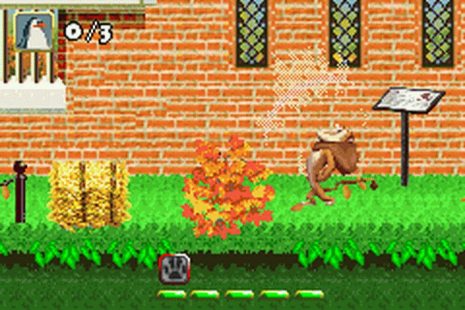 Madagascar screenshot 4