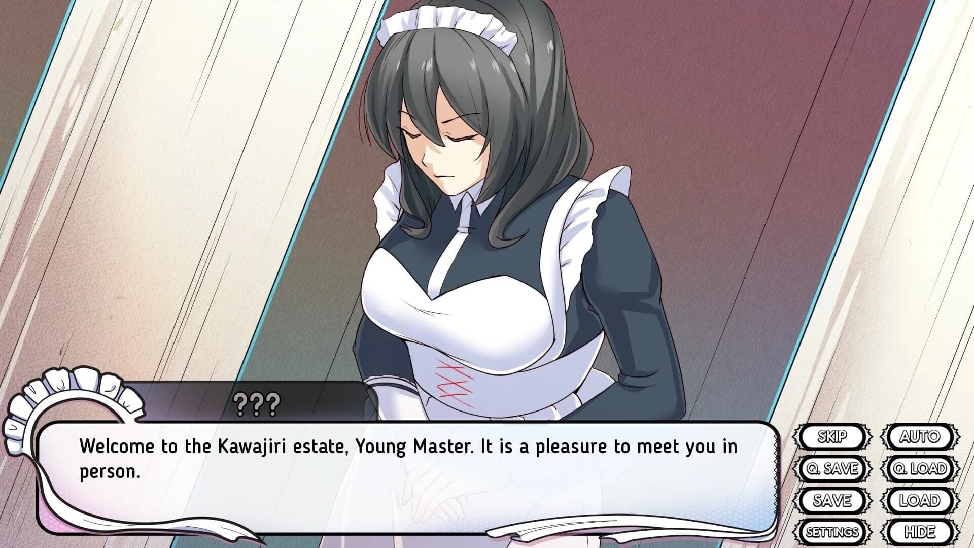 Maid Mansion screenshot 3