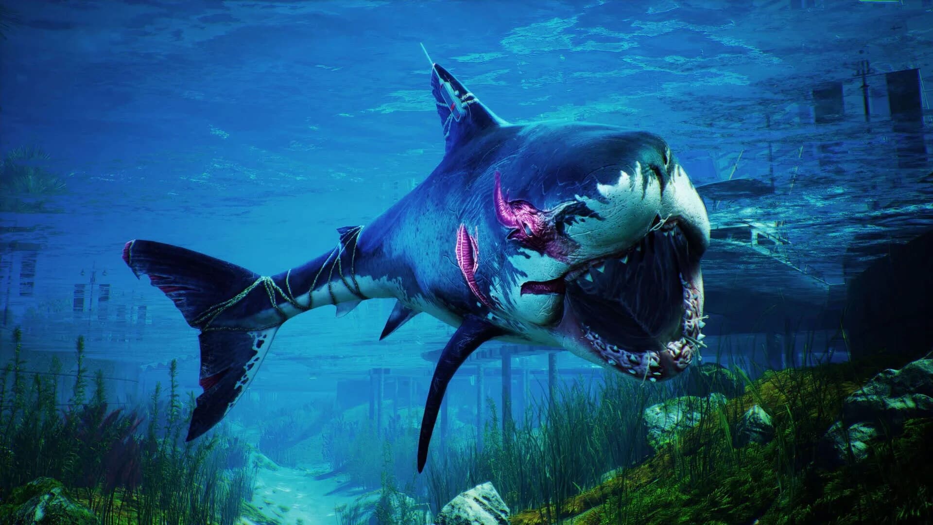 Maneater: Truth Quest screenshot 4