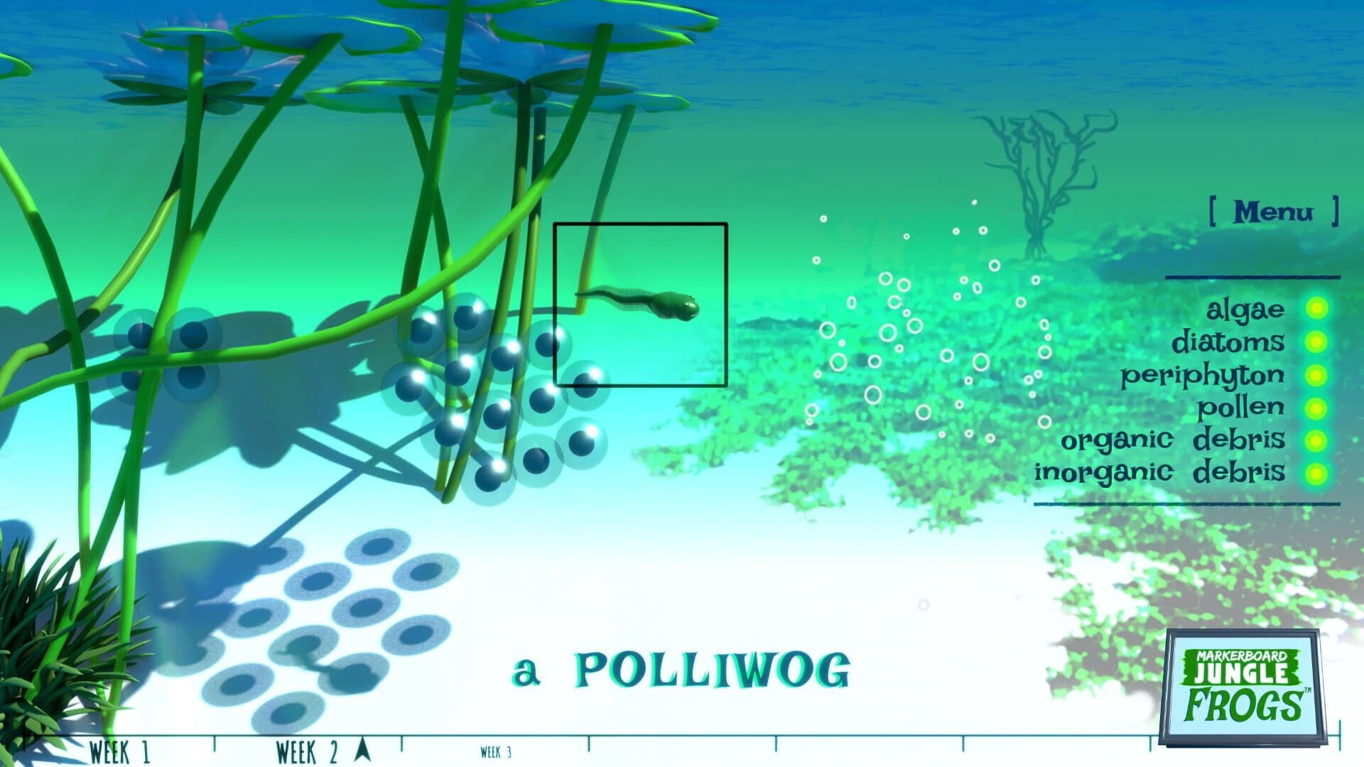 Markerboard Jungle: Frogs screenshot 3
