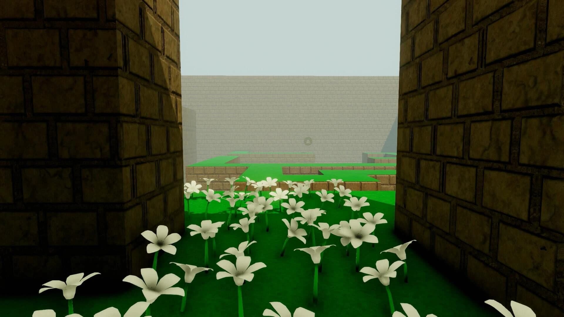 Maze: Interim Odyssey screenshot 3