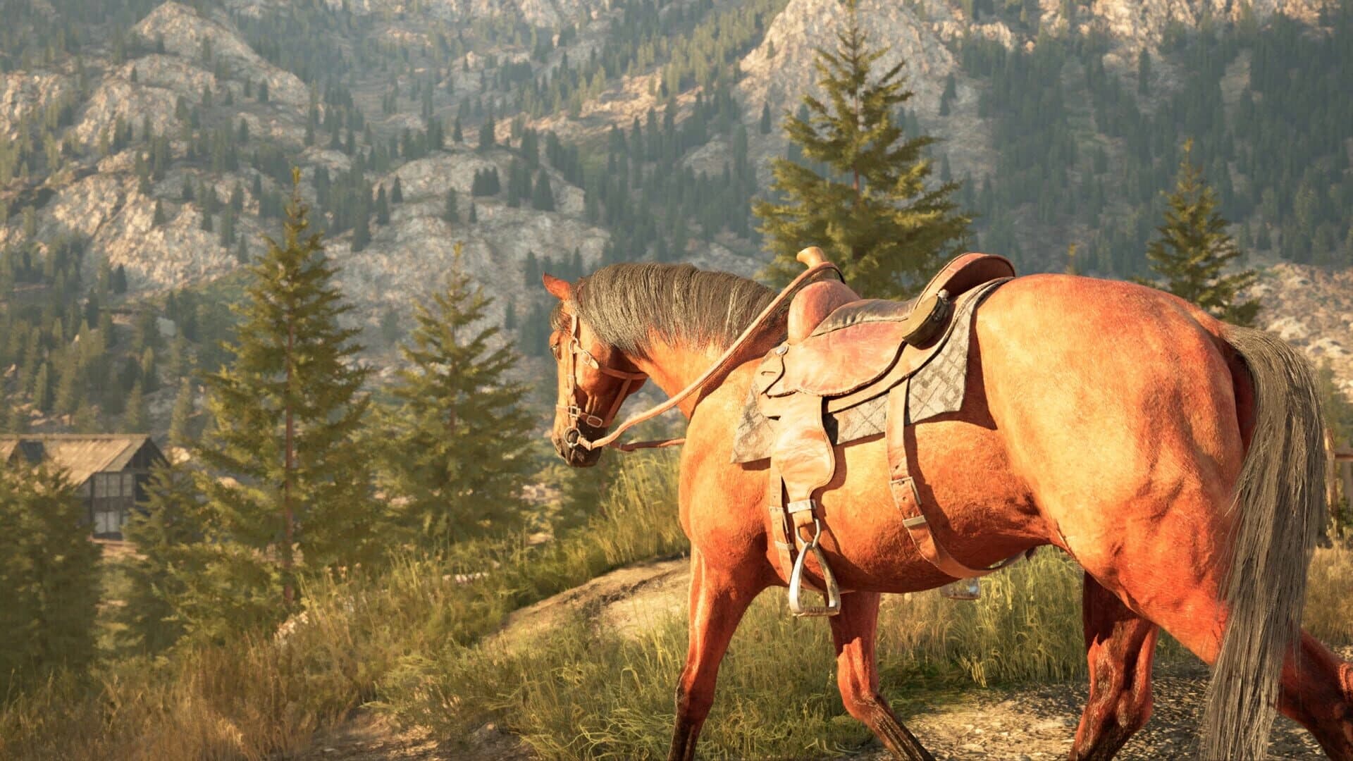 Medieval Horse Simulator screenshot 3