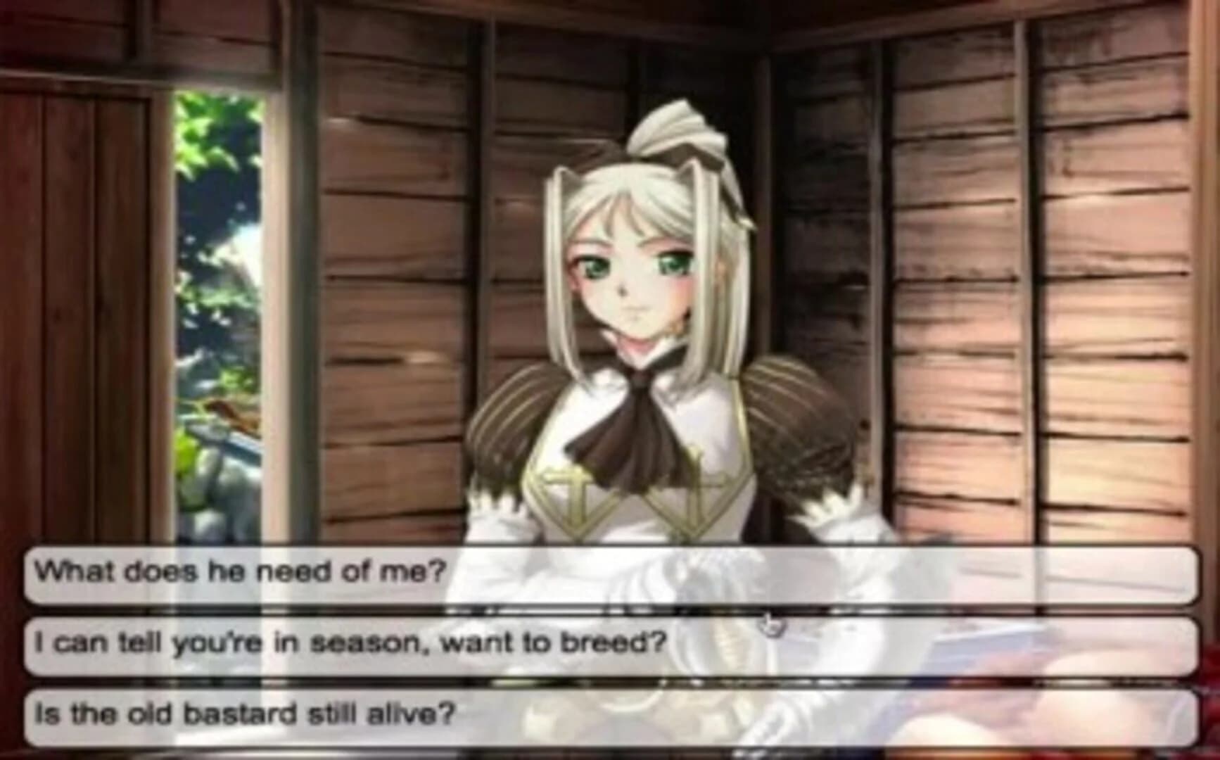 Meet'N'Fuck Kingdom screenshot 2