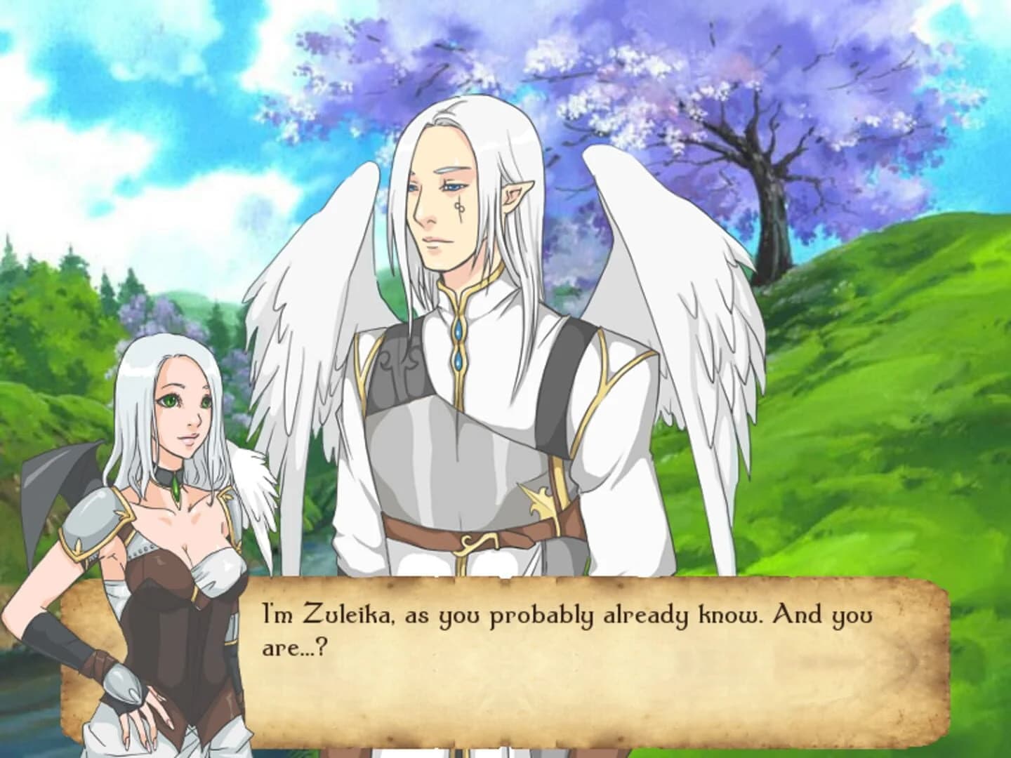 Memoirs of an Angel screenshot 1