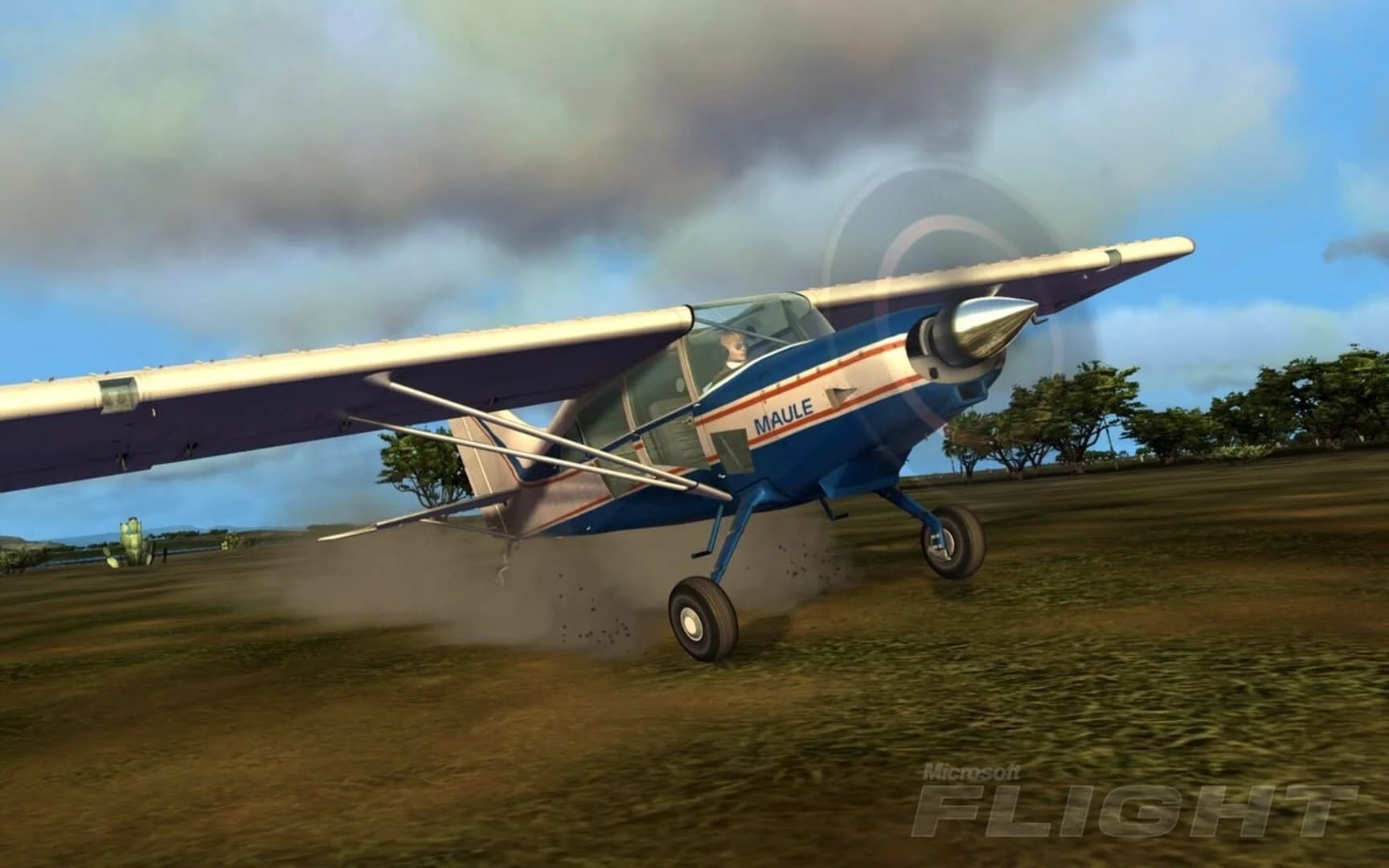 Microsoft Flight screenshot 3