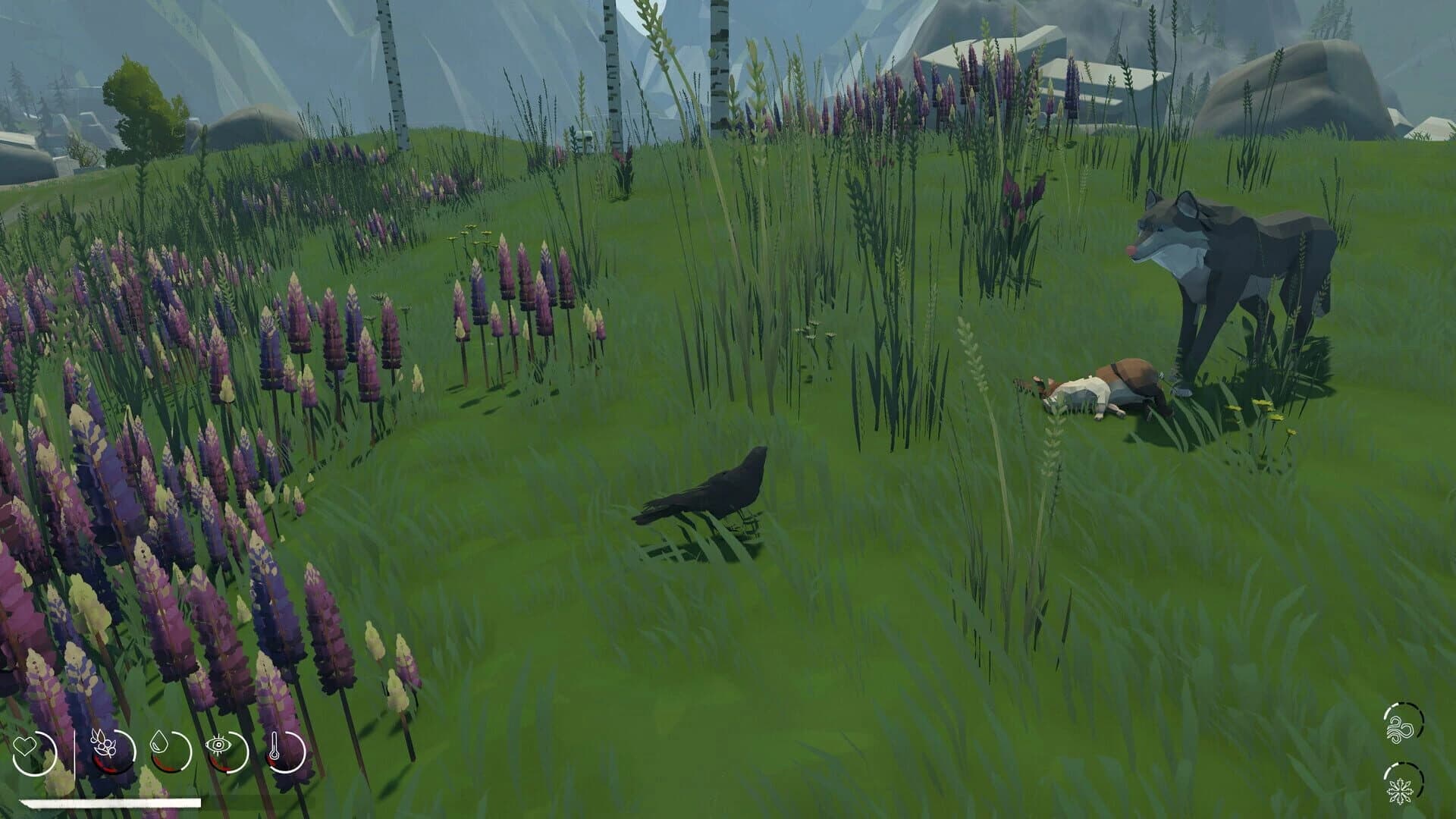 Migration screenshot 5